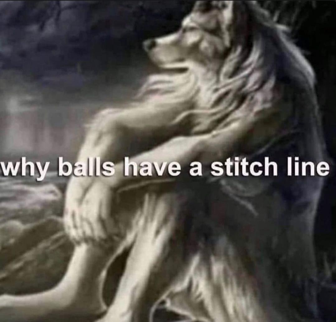 Balls_irl r/furry_irl