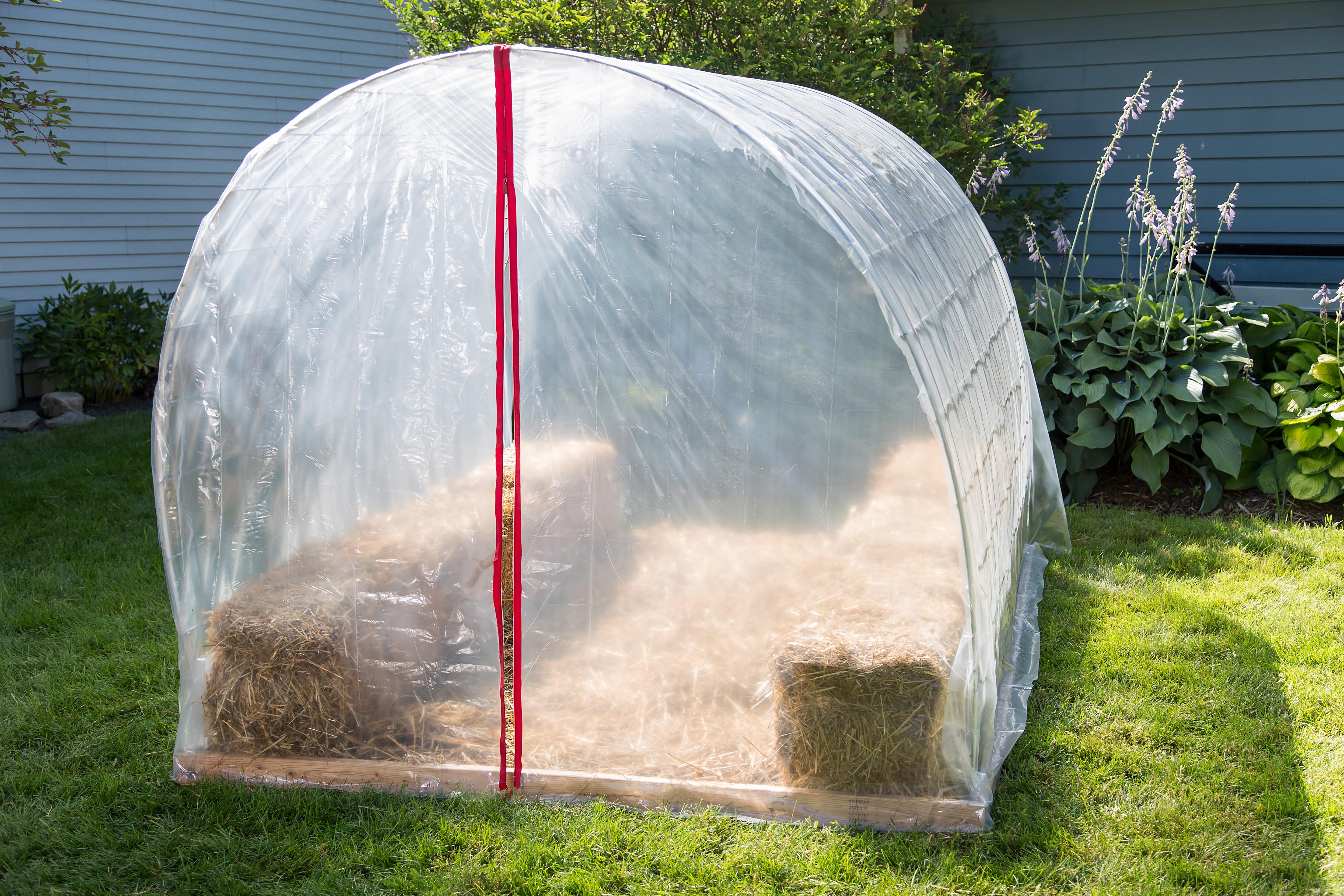 My sixweek greenhouse, made for under 100 with two cattle panels. The