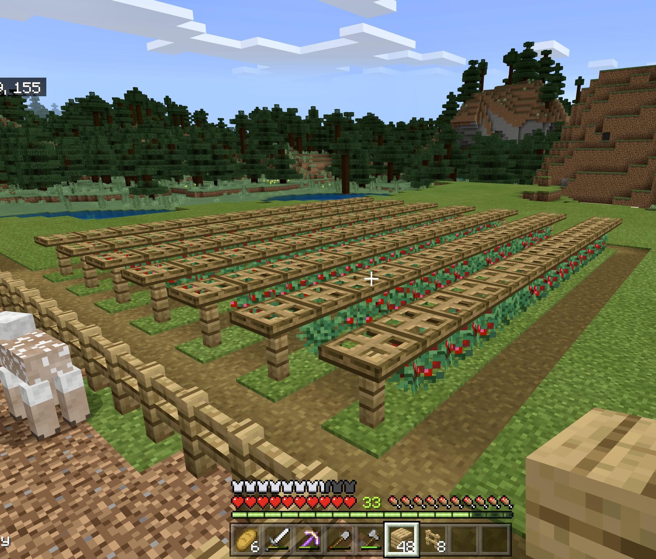 What do you guys think of my sweet berry farm? And you don’t get stung