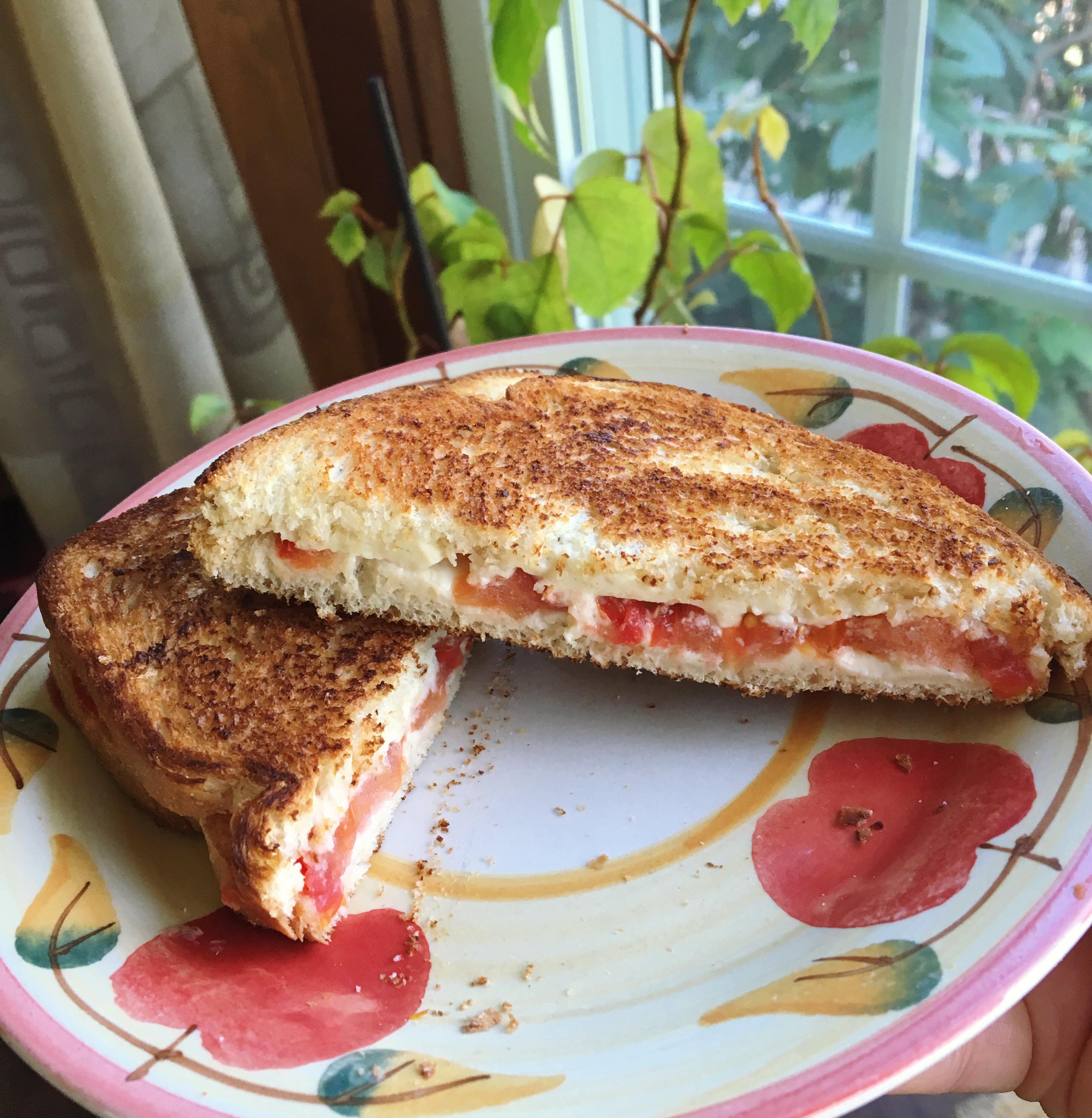 Laughing cow cheese and tomato toasted sandwich (125 calories) r