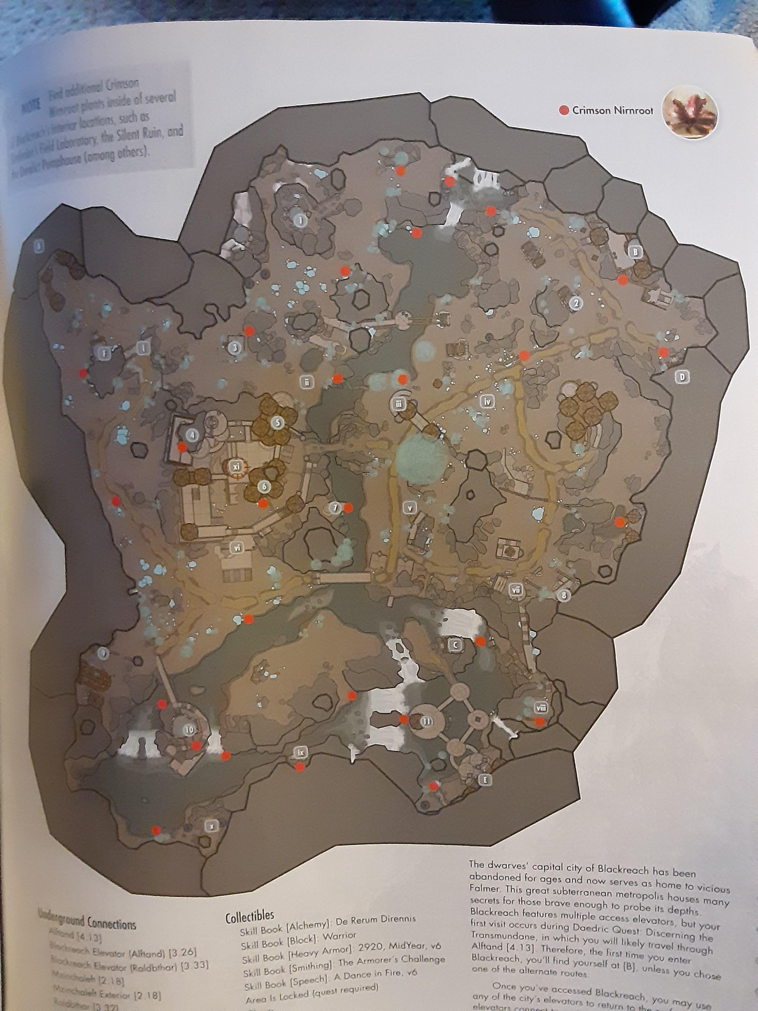 Blackreach...Crimson Nirnroot indicated. r/skyrim