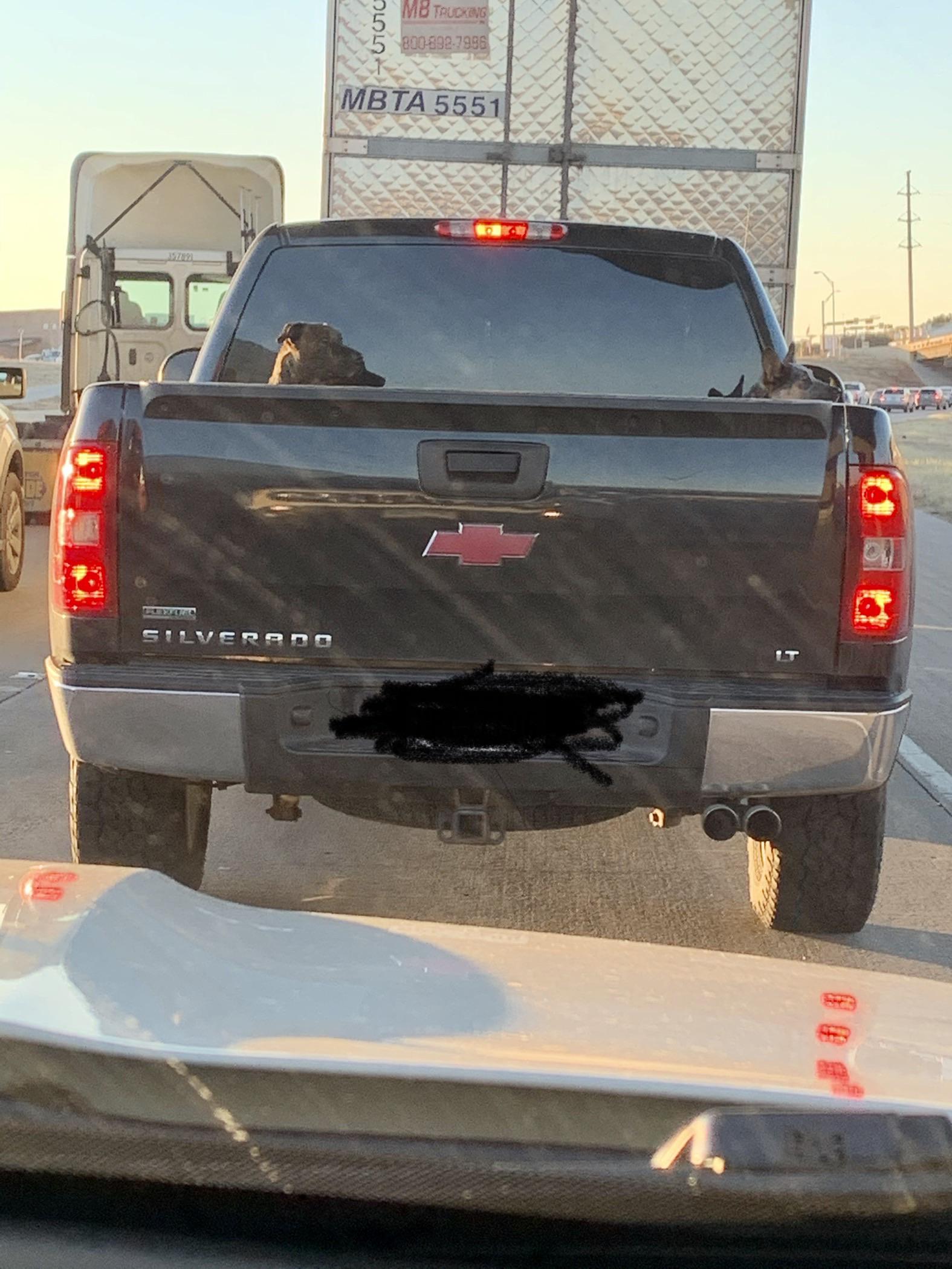 This guy with his dogs in the bed of his truck, highway too. r