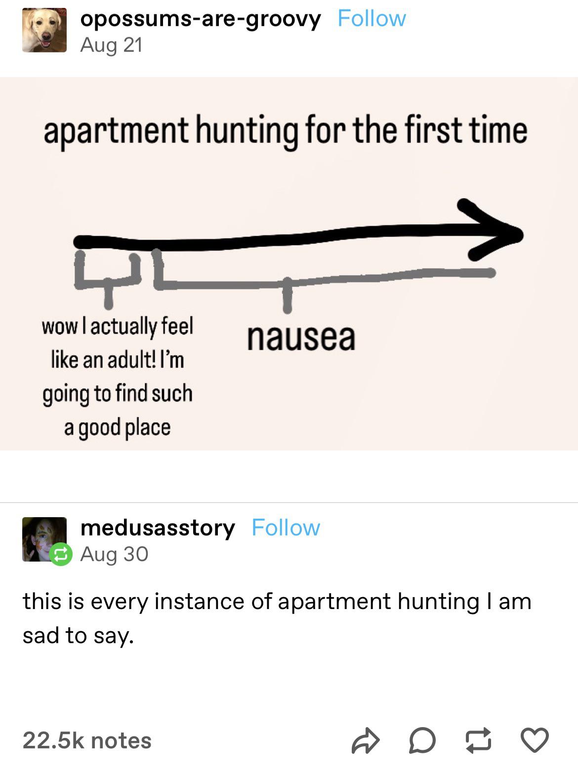 Apartment hunting r/tumblr