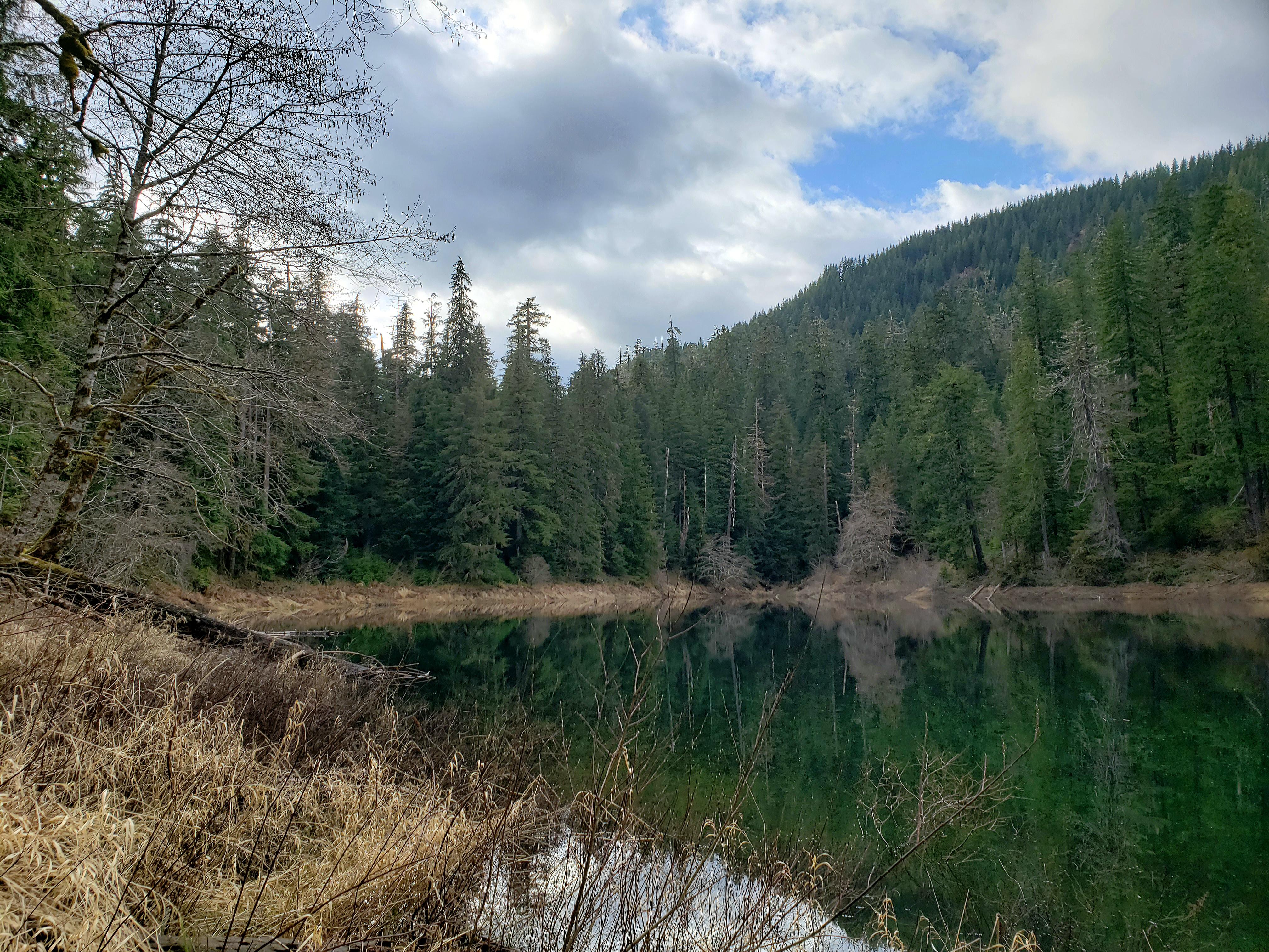 Spider Lake, Olympic National Forest, Washington, United States. 2.4