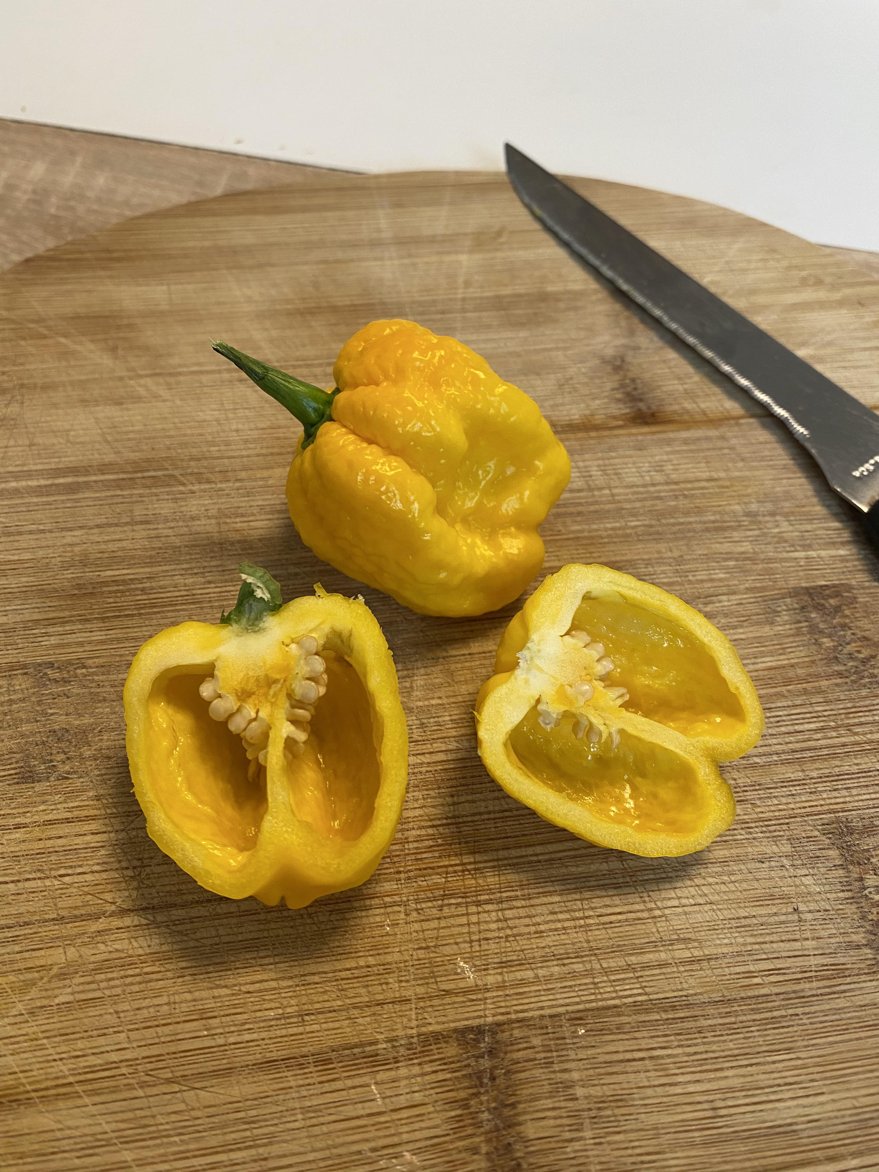 Dry my harvested Scotch spicy