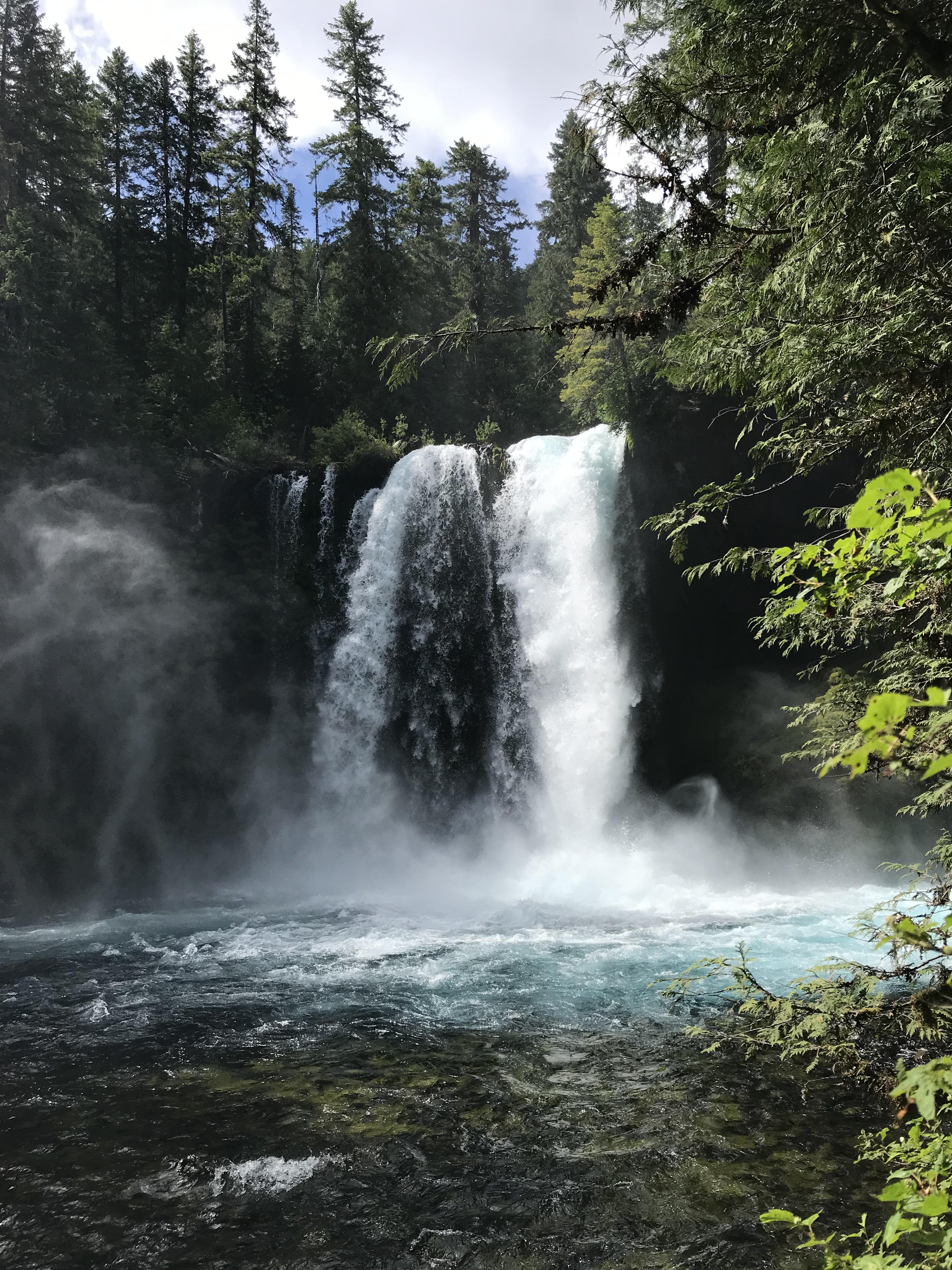 Koosah Falls on Friday r/oregon