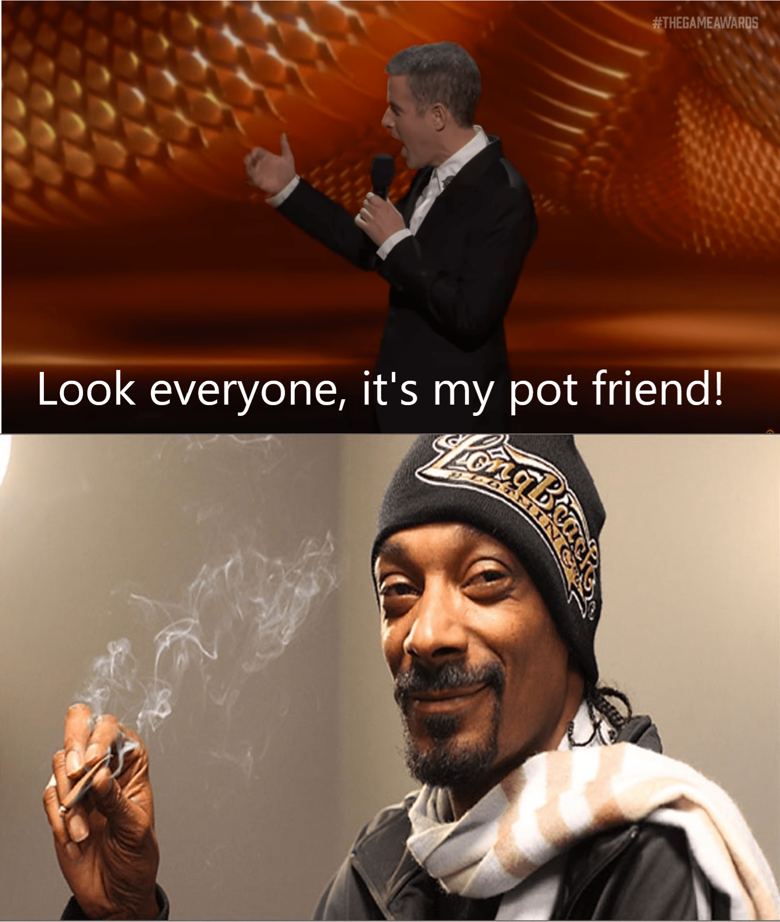 Say hello to my pot friend! r/Eldenring