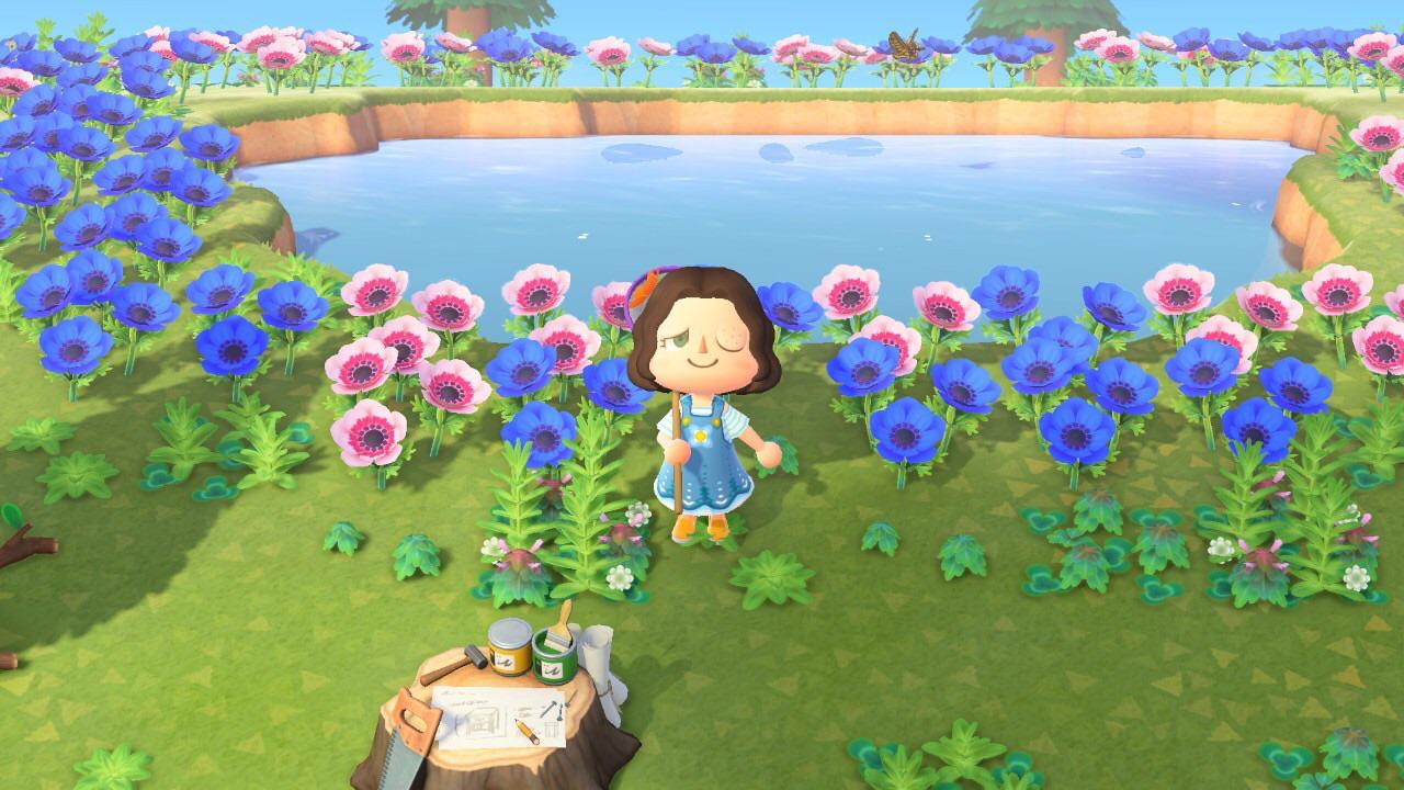 Excuse my eye, but I finally landed on a hybrid flower island 🌸 r/ac