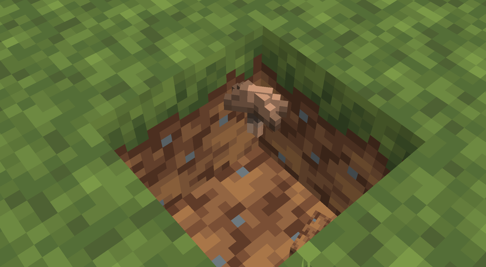 i killed a wandering trader and it left weird floating mushrooms that i