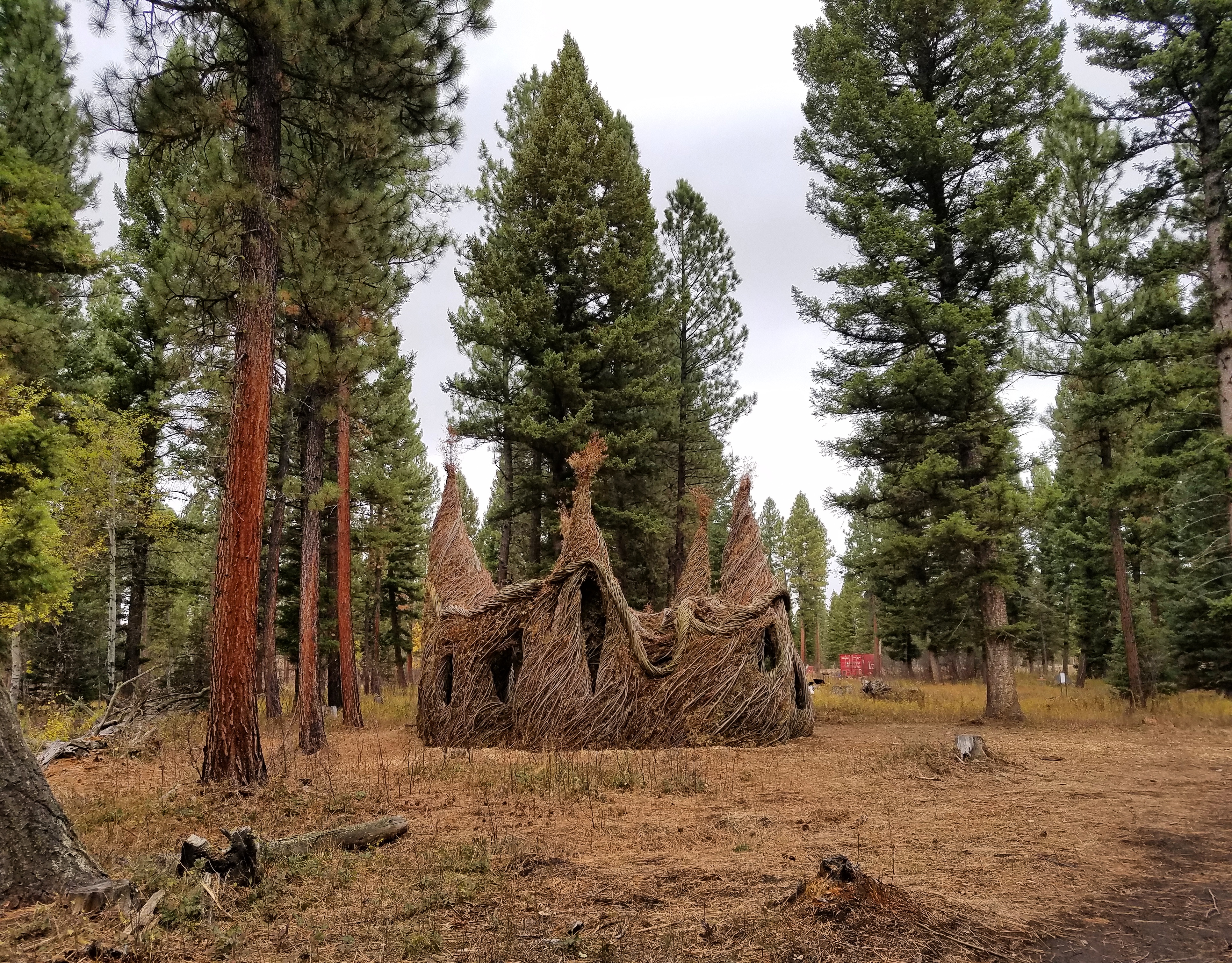 Fairy House at Sculpture in the Wild in Lincoln, Montana. OC. [3867×