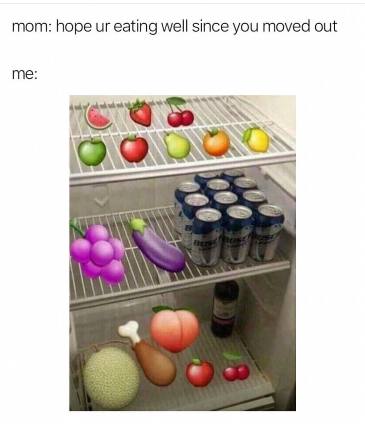 My refrigerator irl r/memes