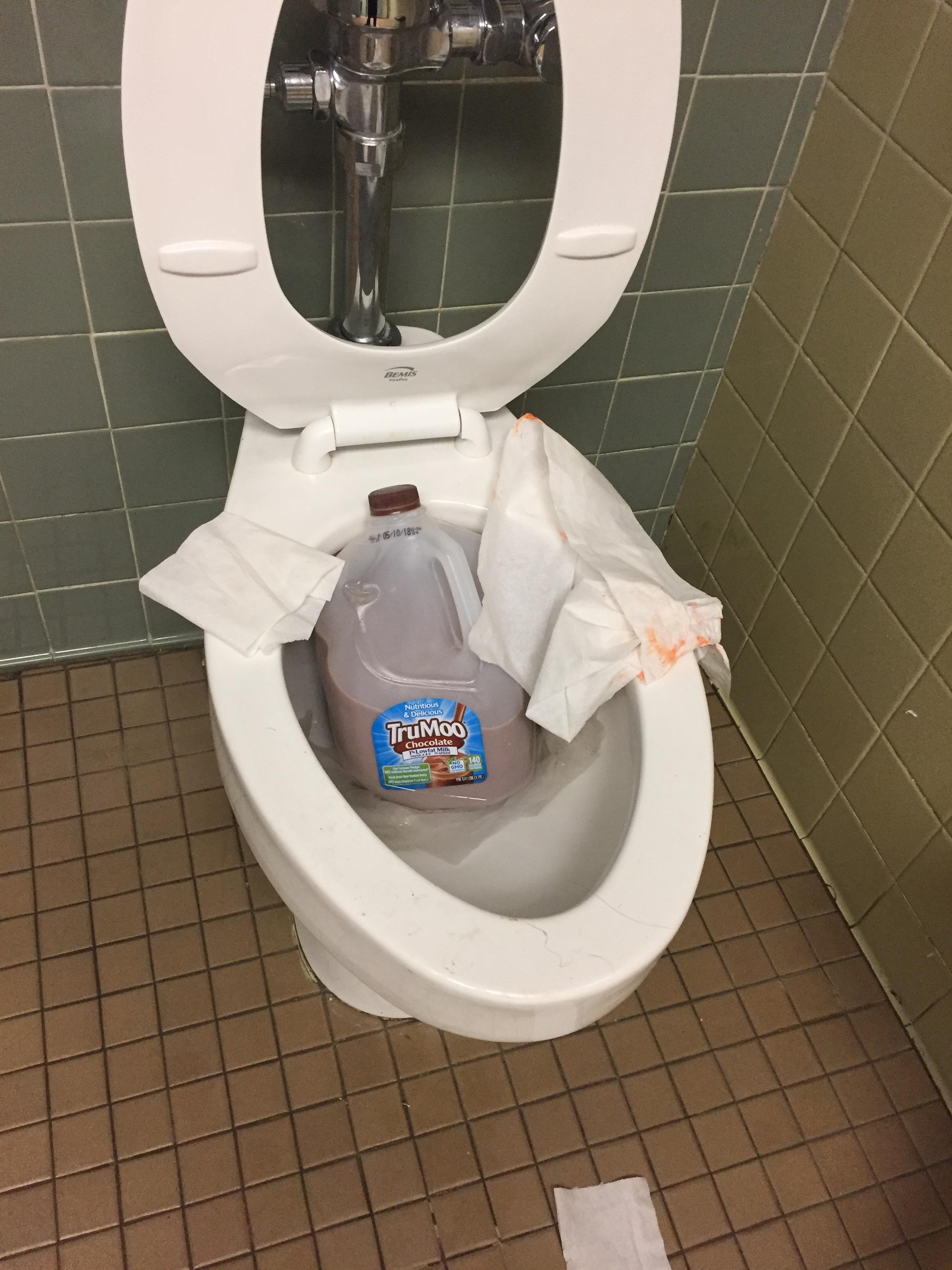 School Bathroom Toilet