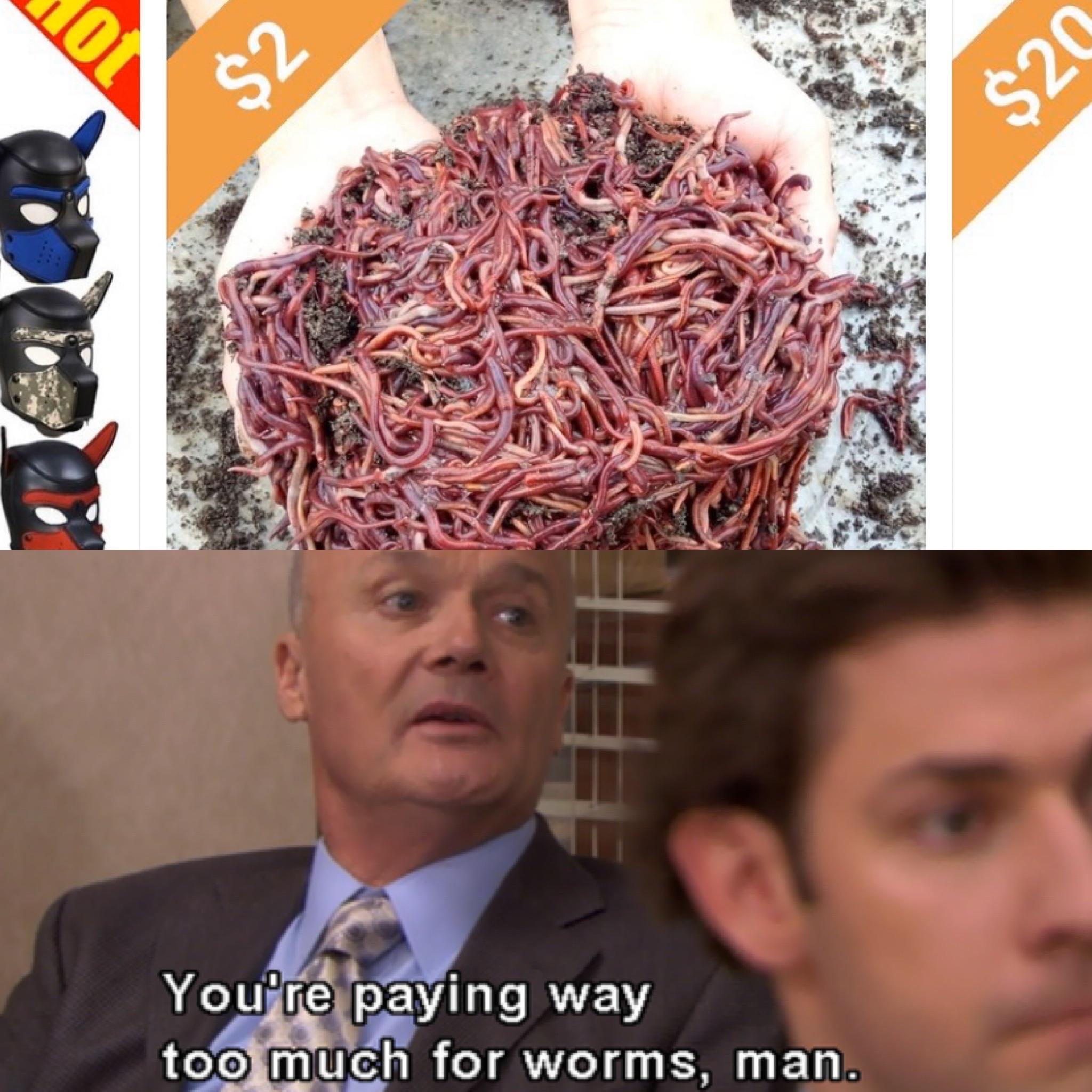 Who’s your worm guy? memes