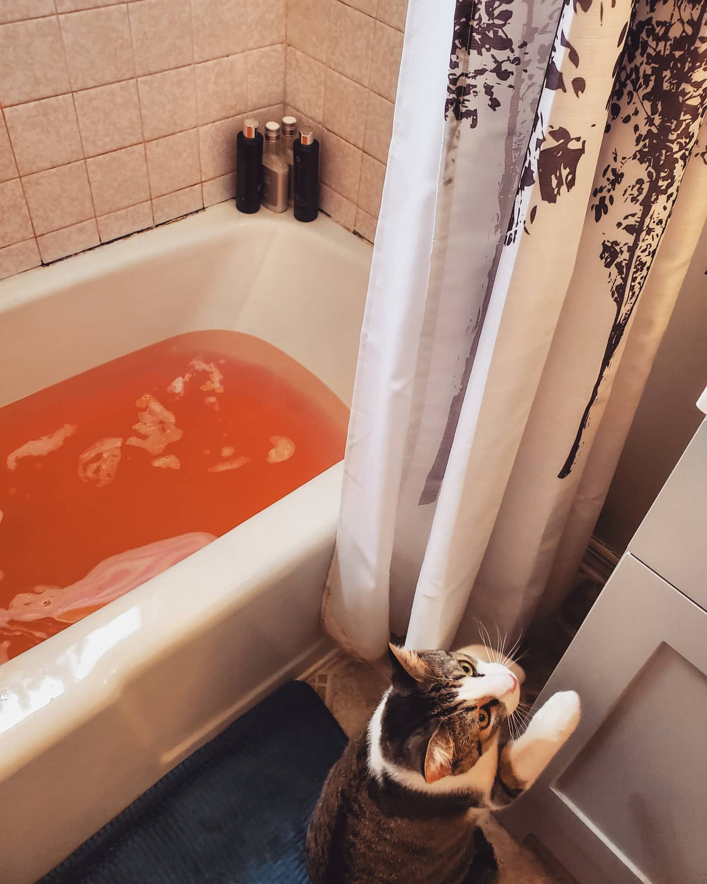 DIY Scrubbee LushCosmetics