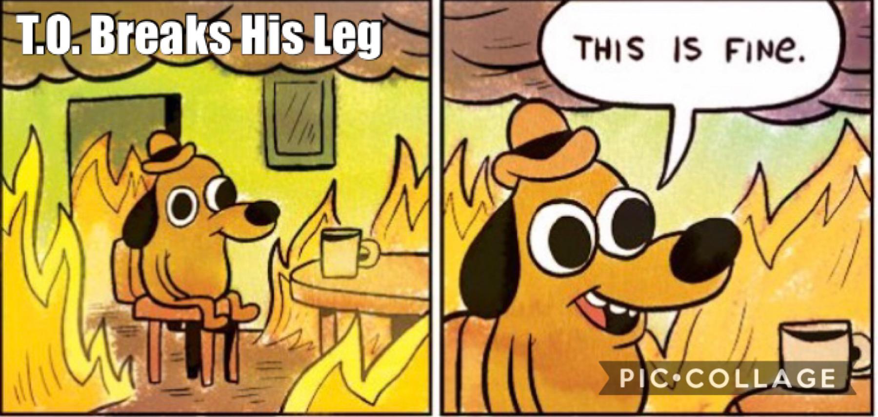 Terrell Owens nflmemes
