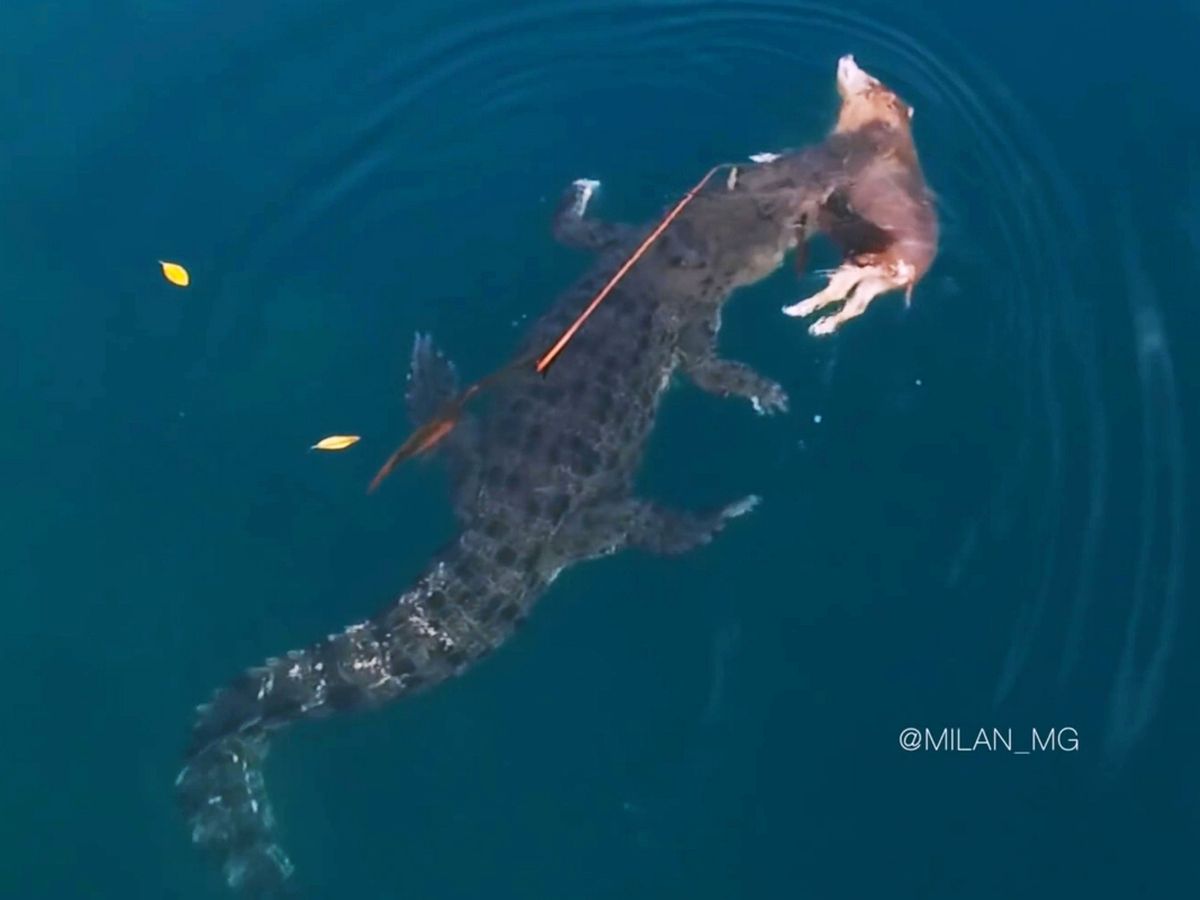 overview for lokalPNGtokpisinNaka