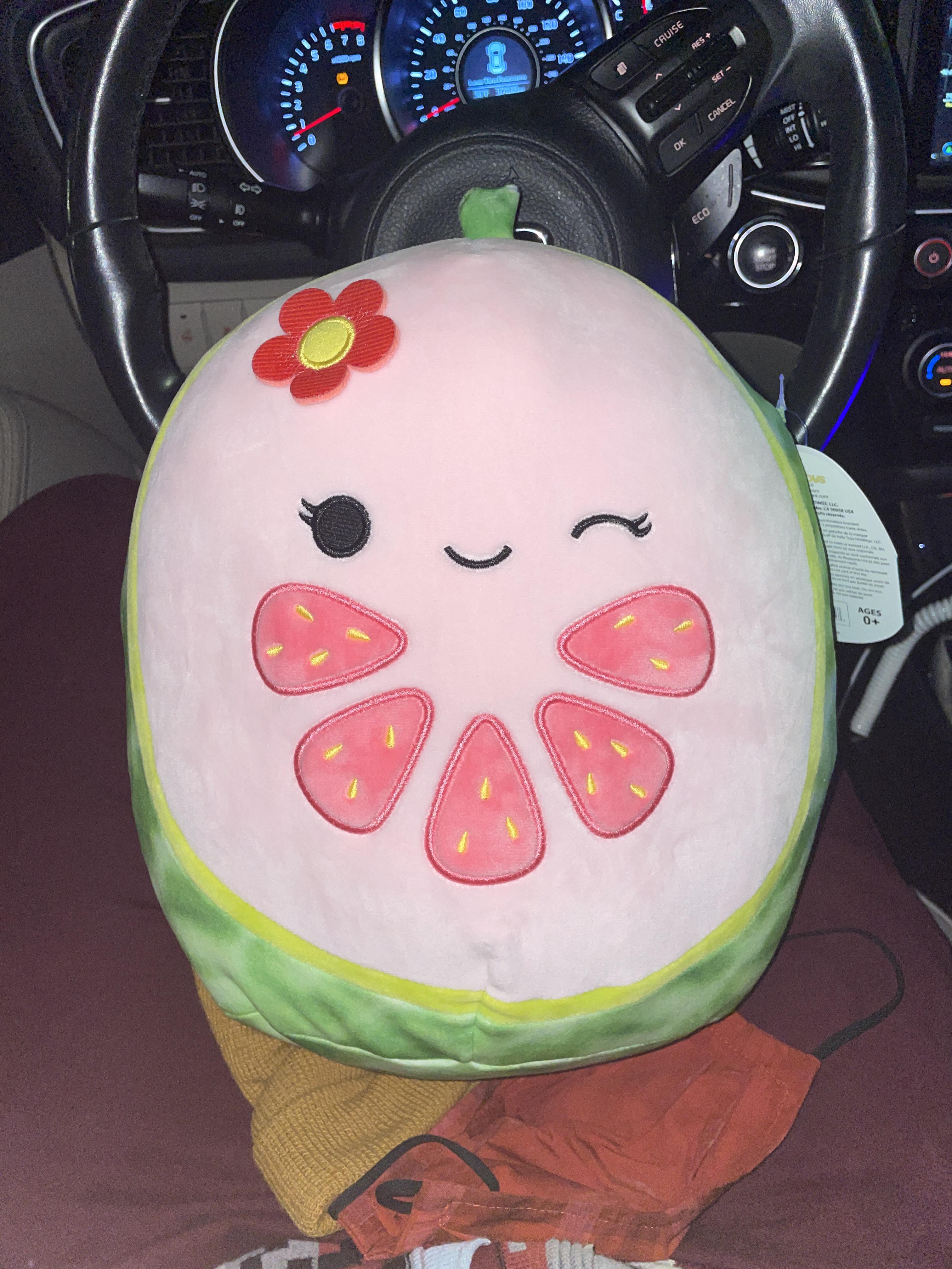 New squishmallow? we found this at target but can’t find a trace of her