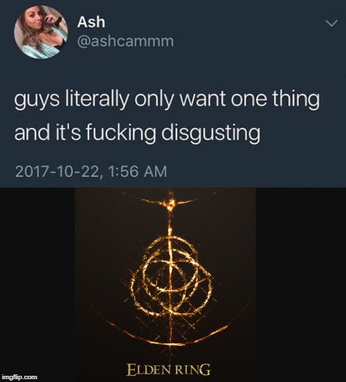 Do you think Elden Ring will have Patches? Eldenring