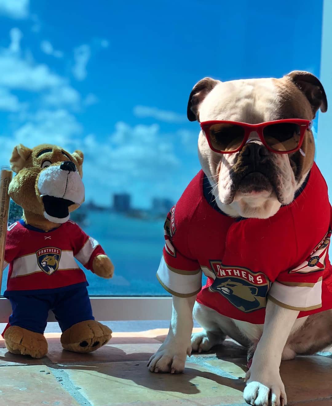 Dog Jersey r/hockeyjerseys