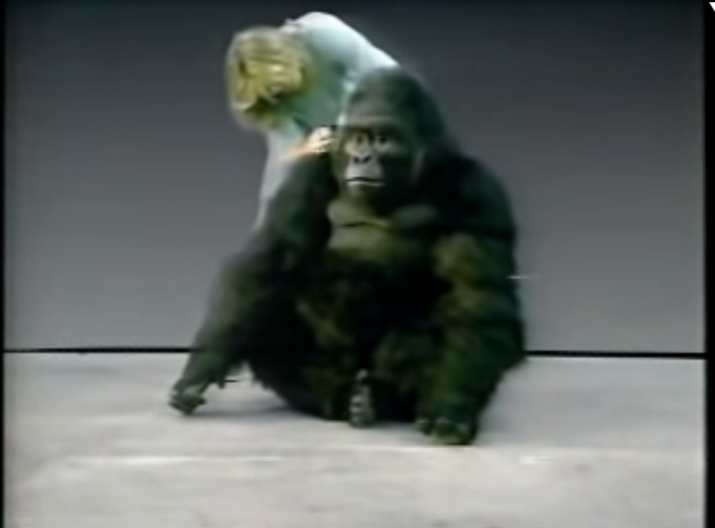 c. 1987 Production on Gorillas in the Mist (1988), including one of