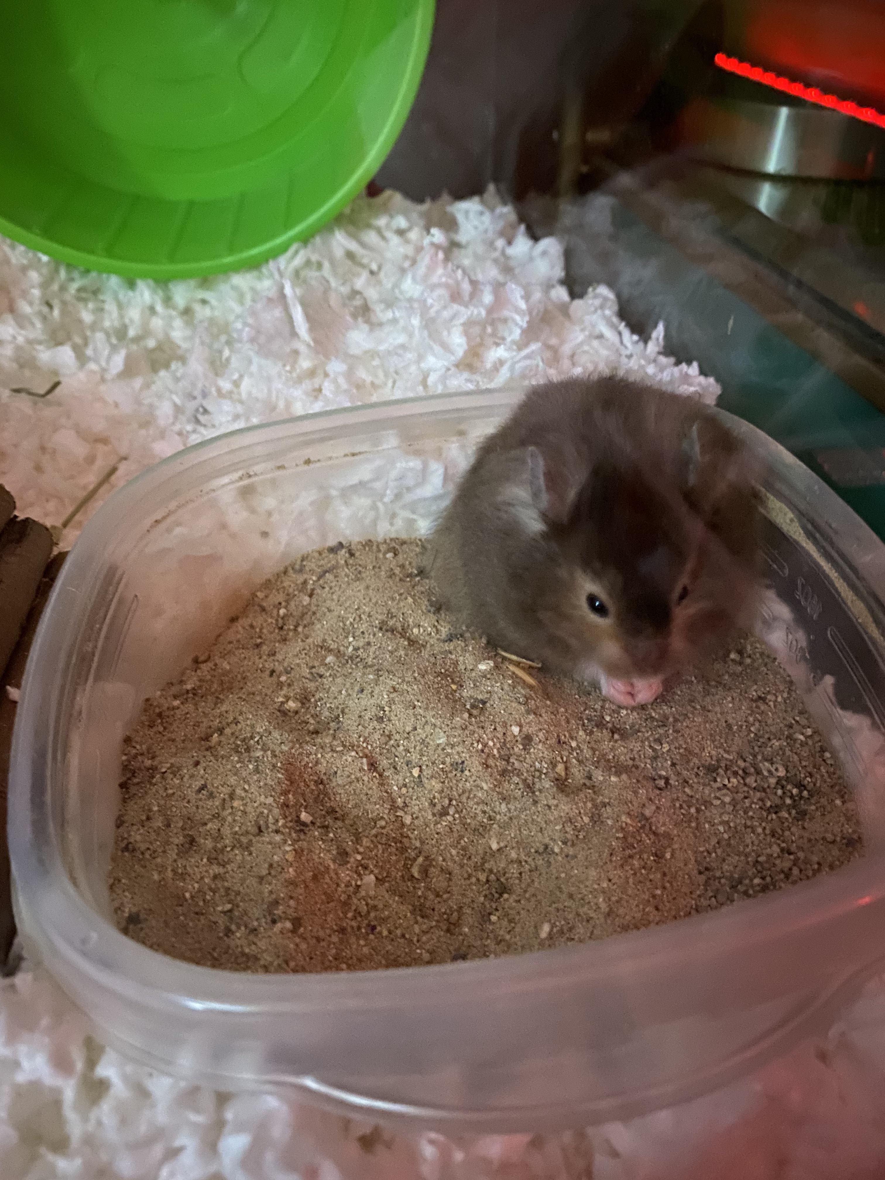 does this sand look ok? sakrete children’s play sand from home depot