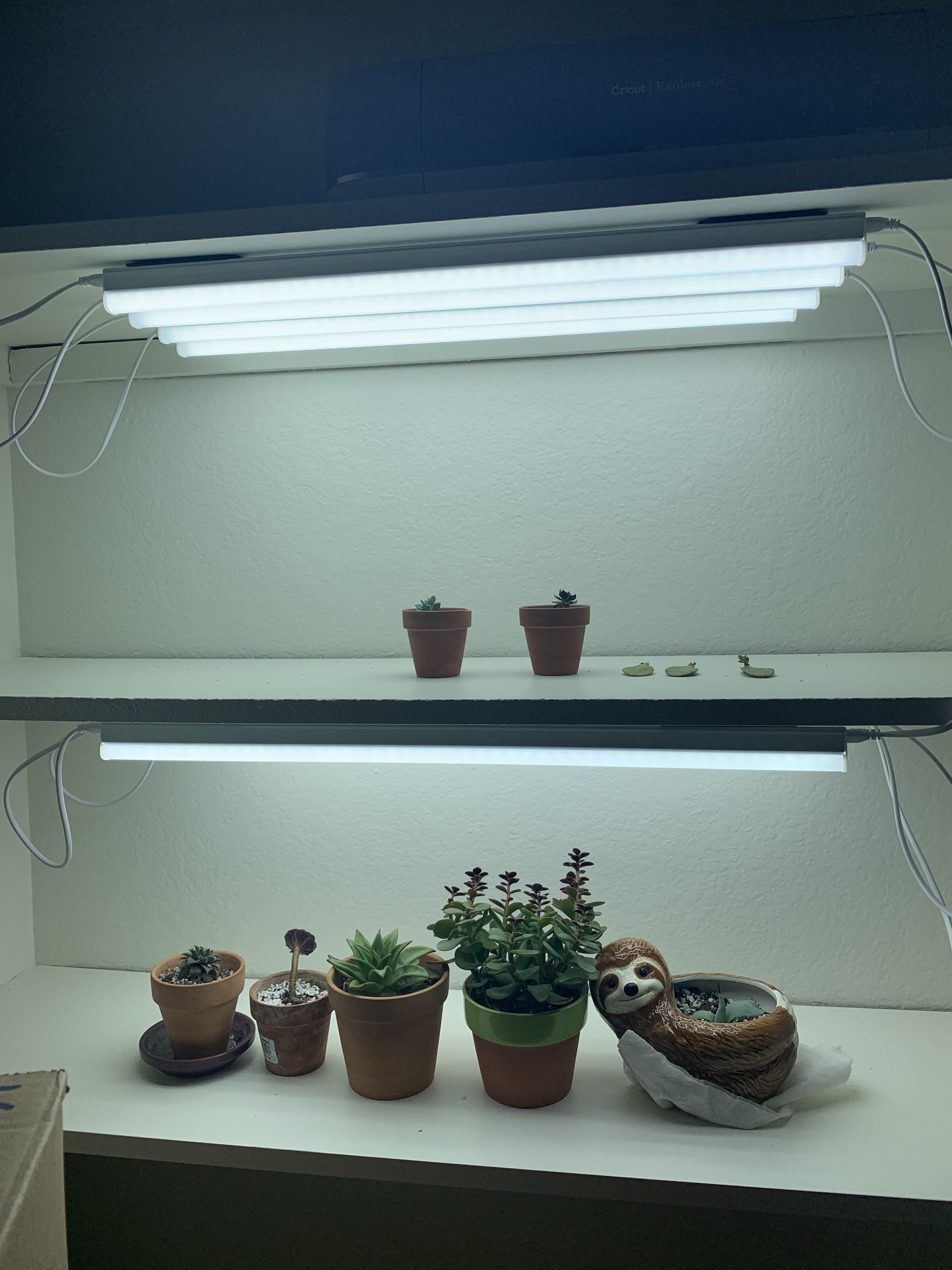 New grow lights! r/succulents