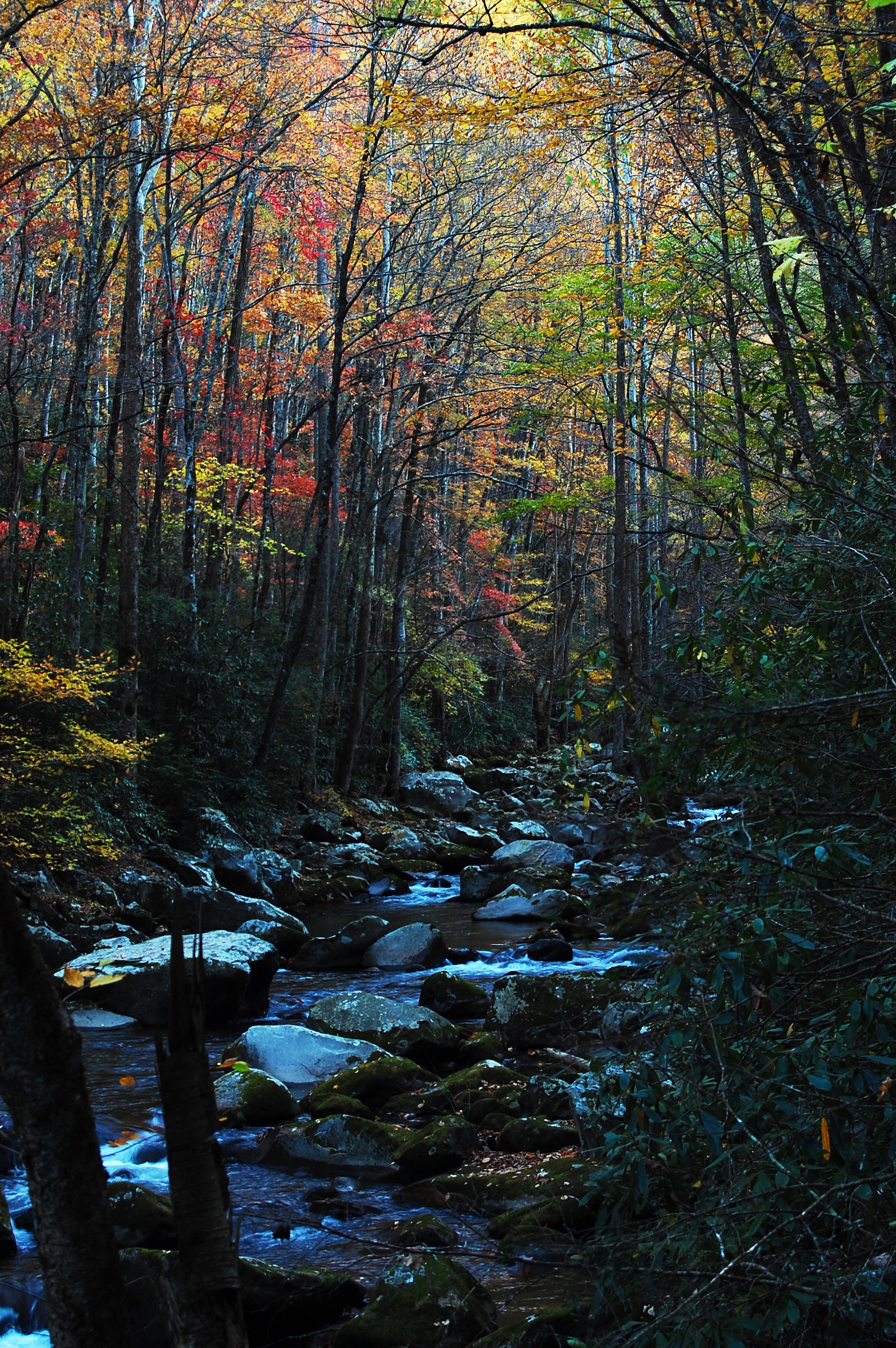Mount Sterling, Great Smoky Mountains National Park, NC [2000x3008