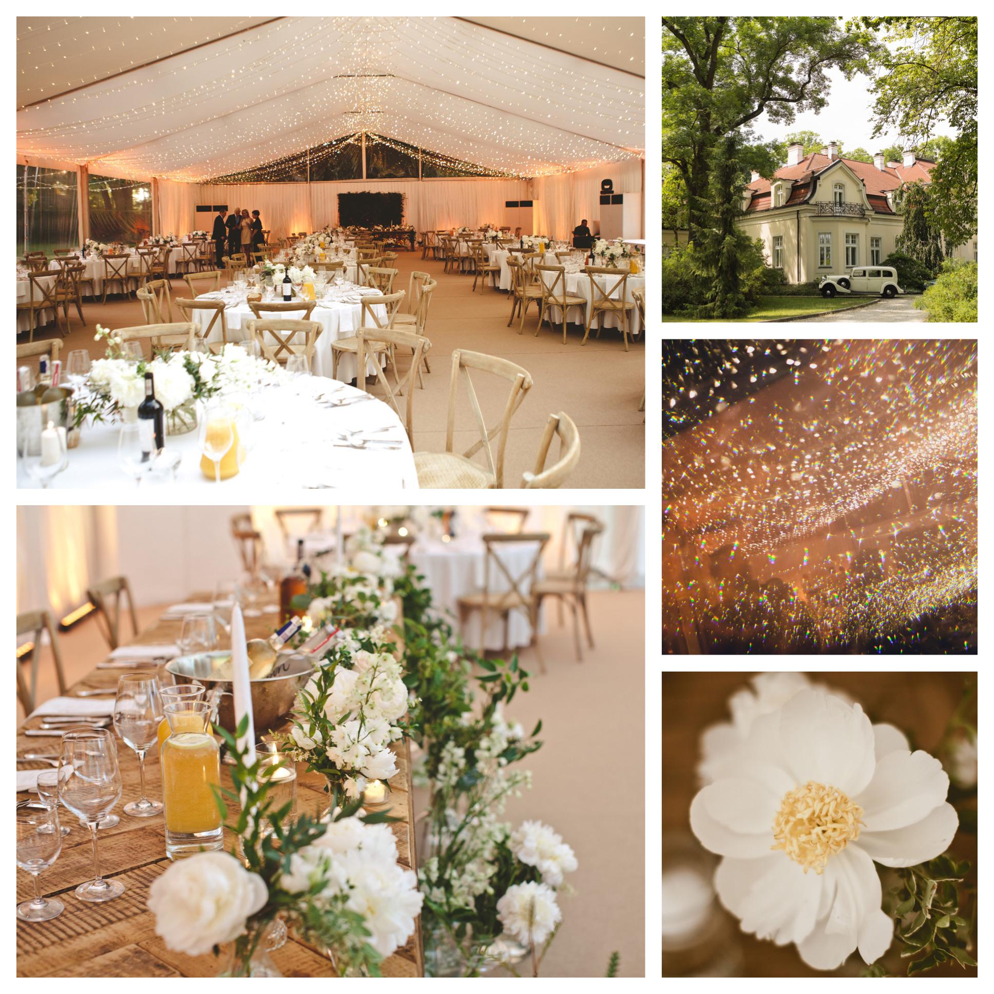 Our wedding day decorations 🌼🌿 r/weddingplanning