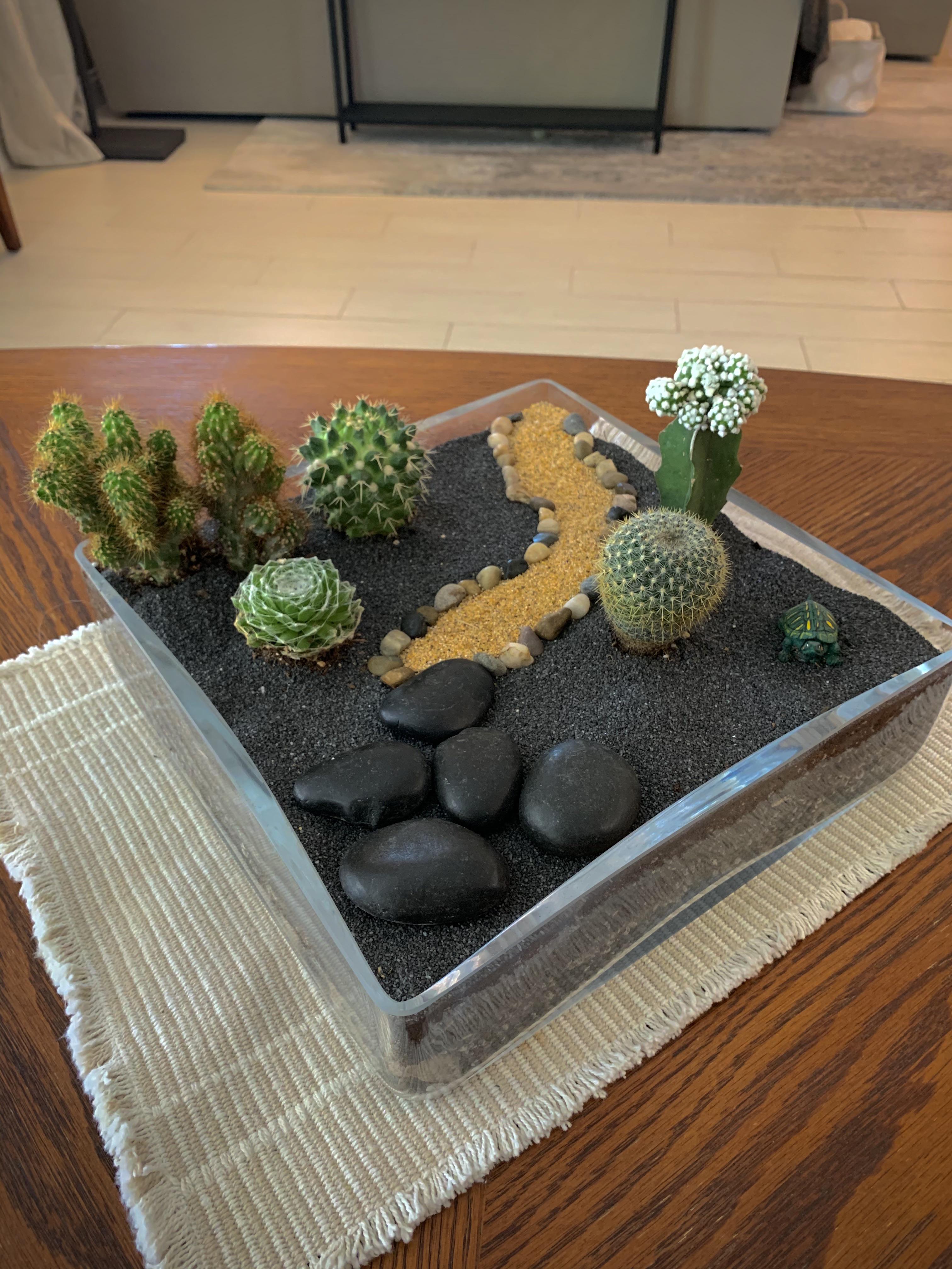 Cactus terrarium I made the other day! Been a while since I put once