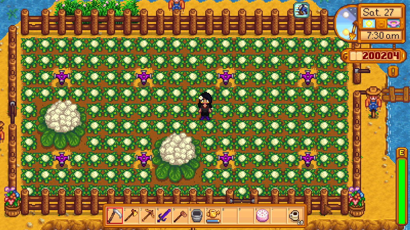 How To Get Big Cauliflower Stardew Valley / Stardew Valley Blog top 5