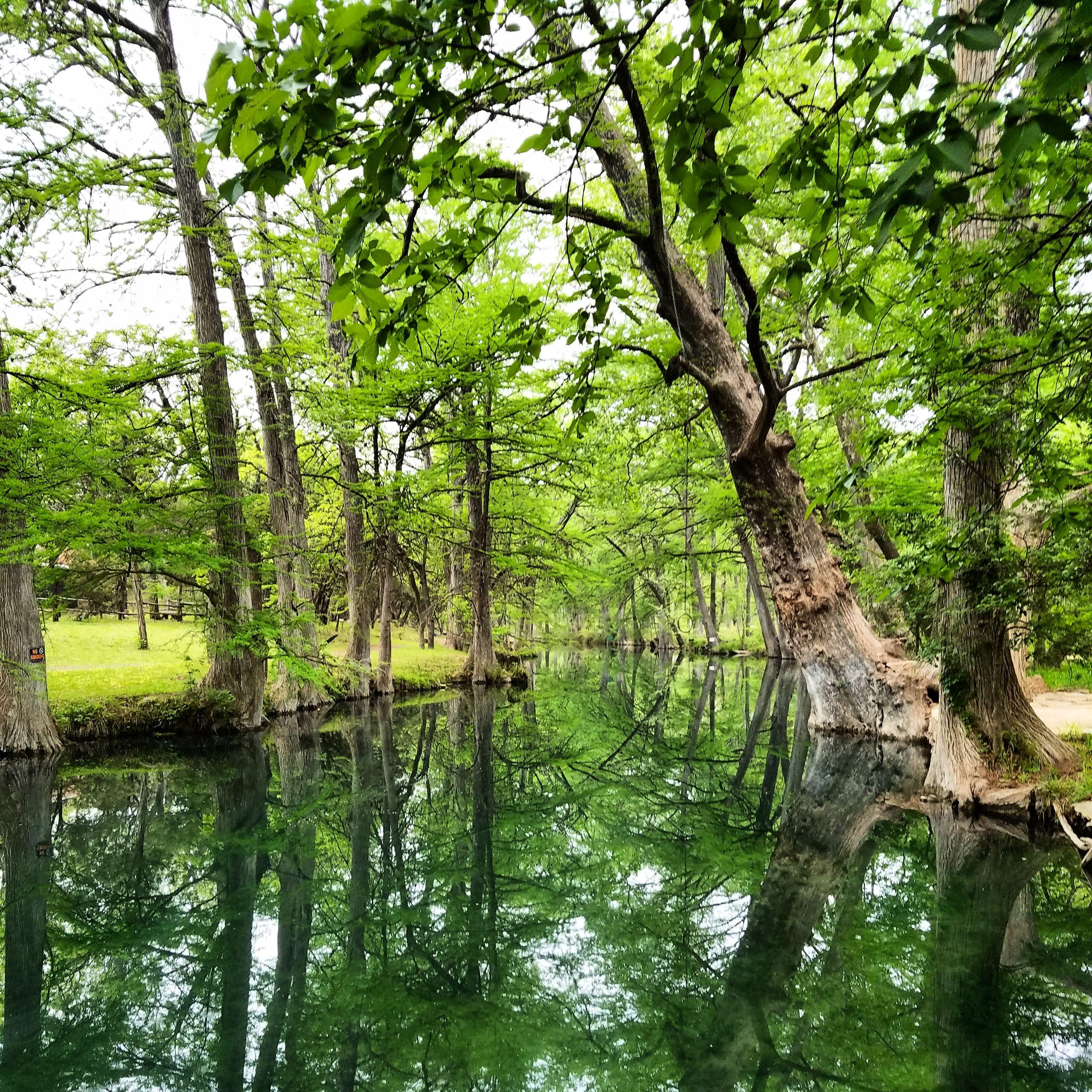 Blue Hole Regional Park, Wimberley, Texas r/TXoutdoors