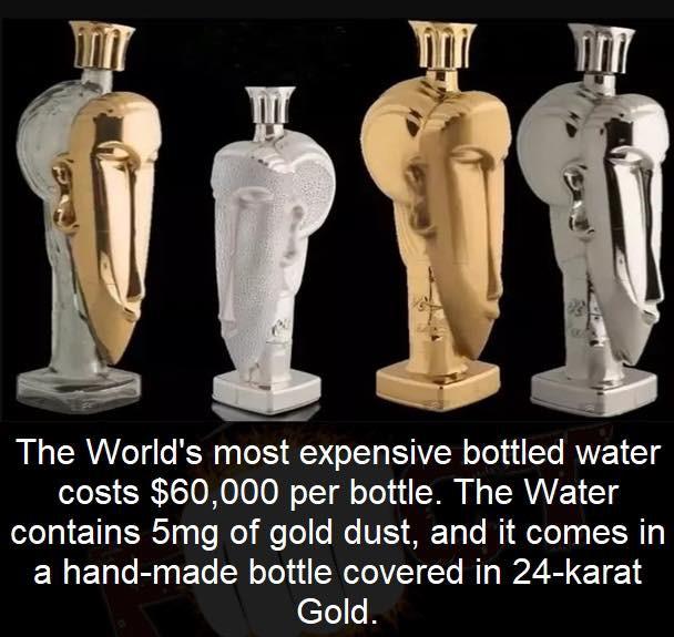 60,000 bottled water. Contains gold, inside and out. r/VeryExpensive