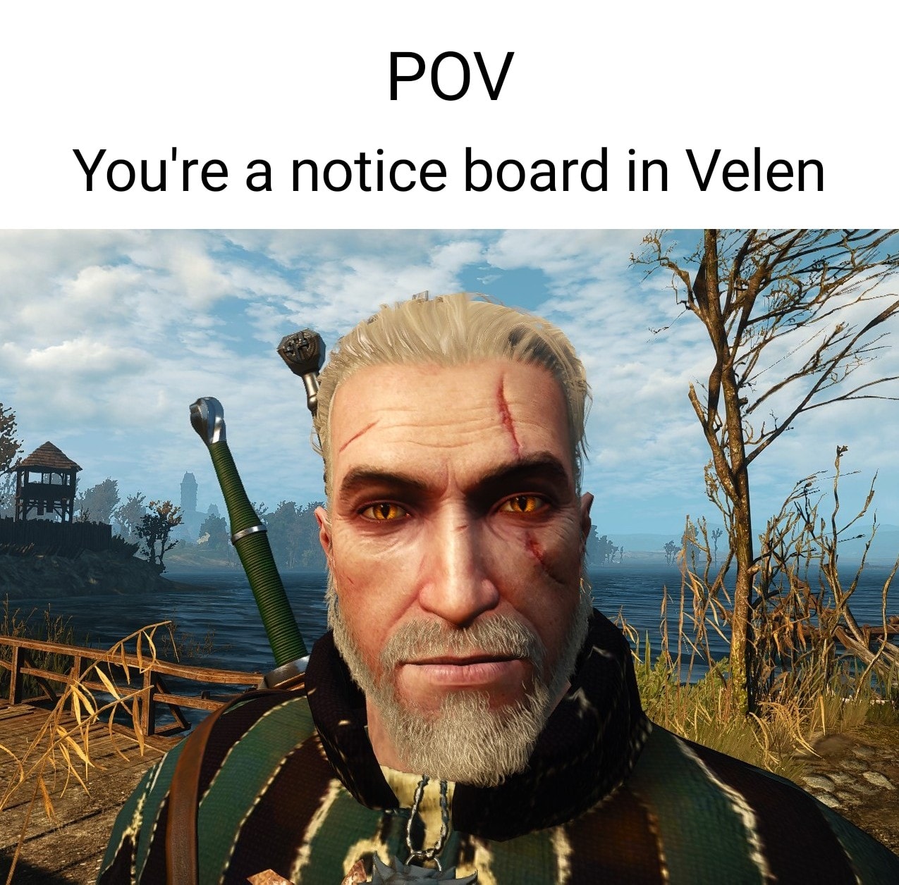What a lucky noticeboard! r/witcher