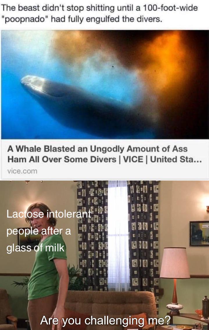 Those are rookie numbers memes