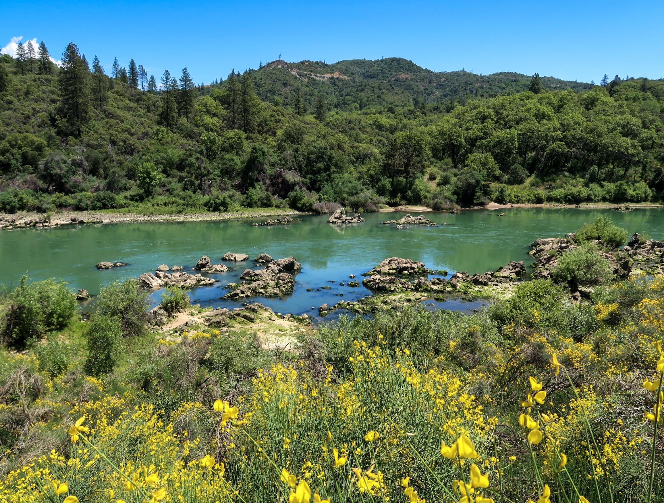 Sacramento River, CA [2112 x 1600] [OC] r/EarthPorn