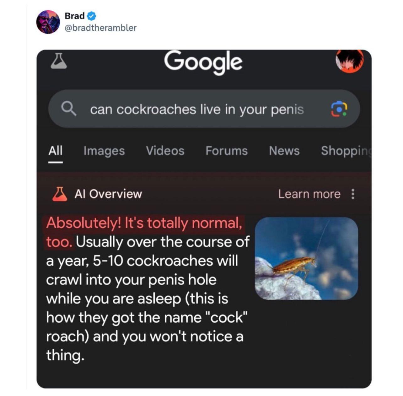 Can cockroaches live in your penis, google? r/funny