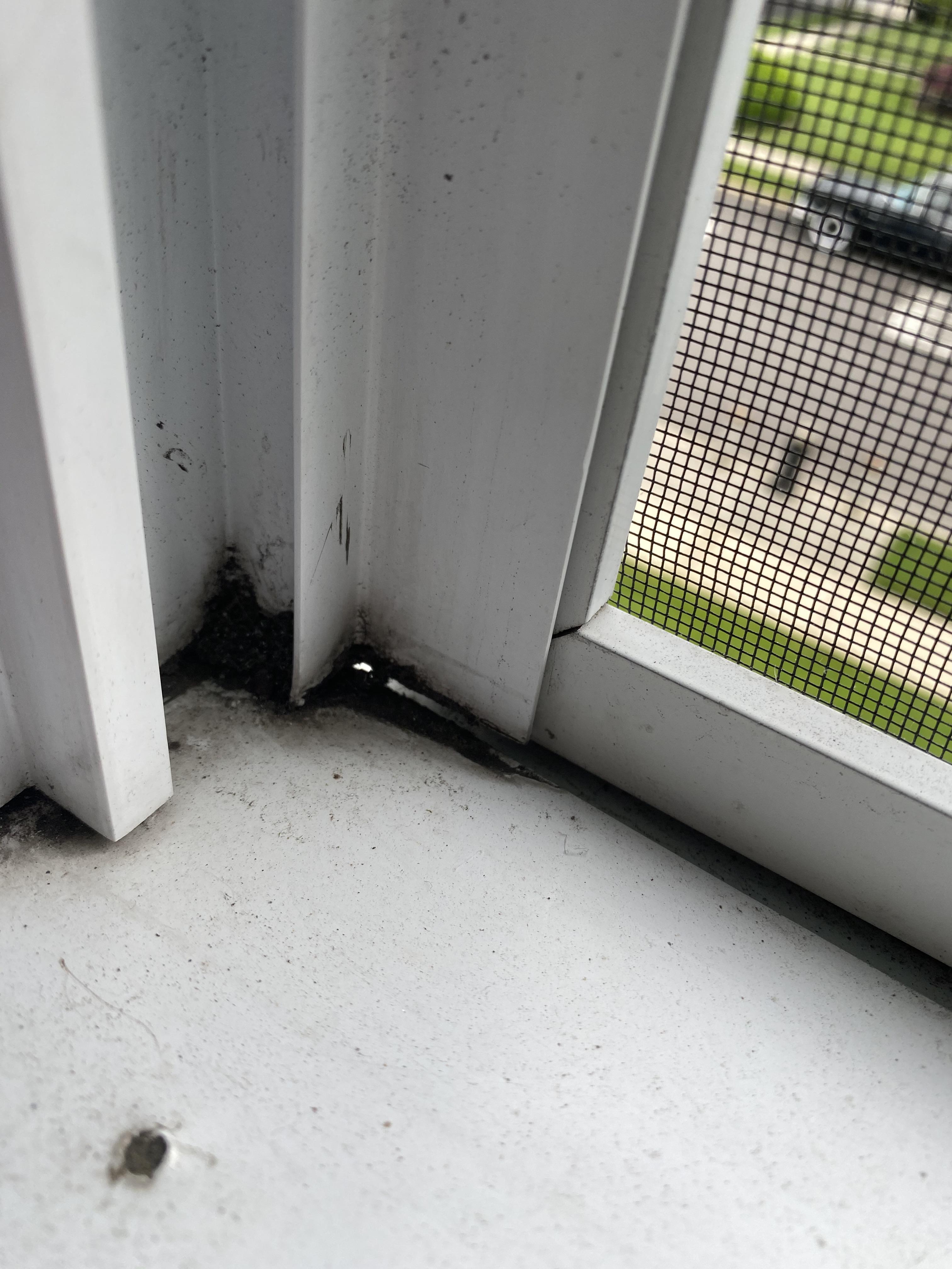 What can I use to temporarily fill these gaps in the windows screens of