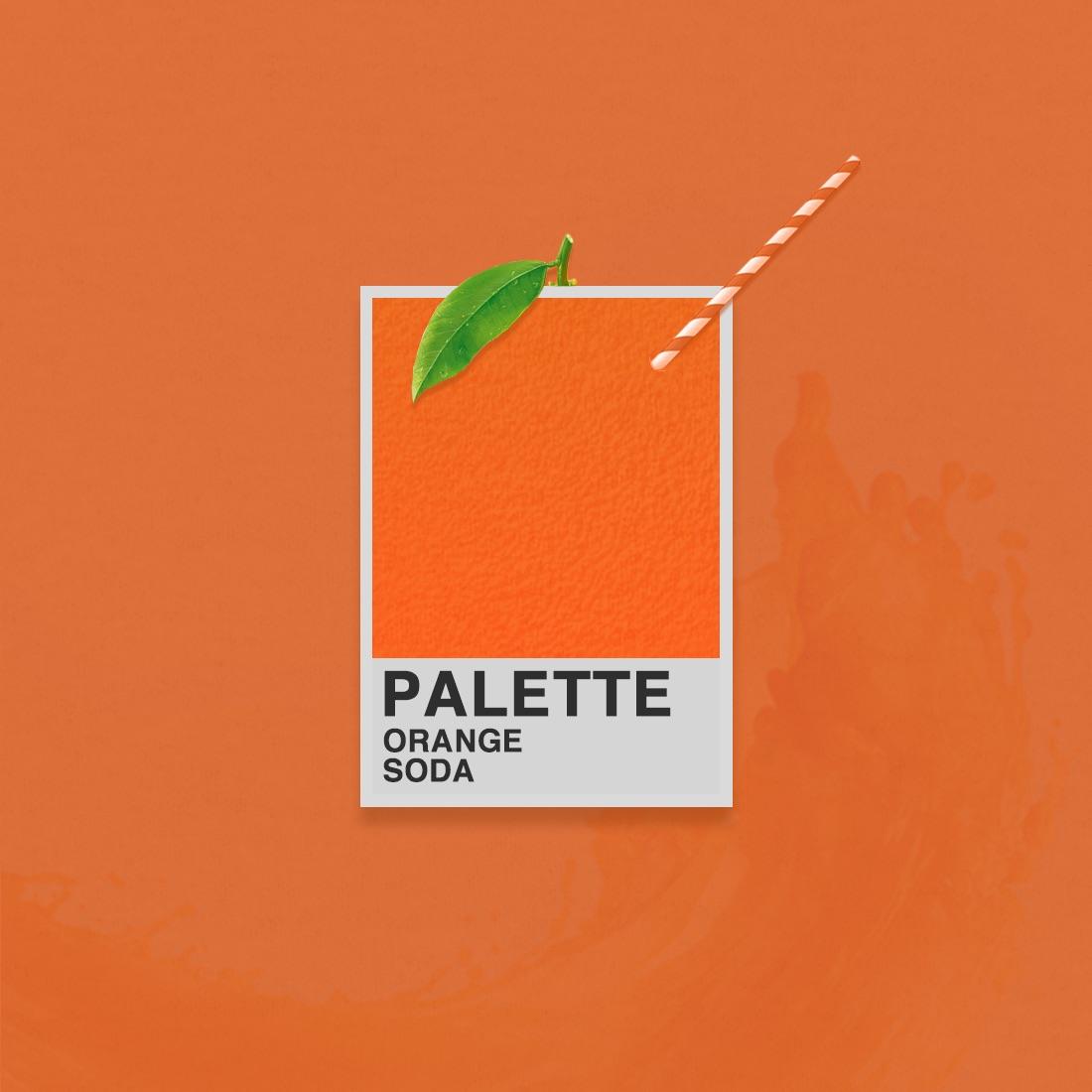 Orange Soda PALETTE r/graphic_design