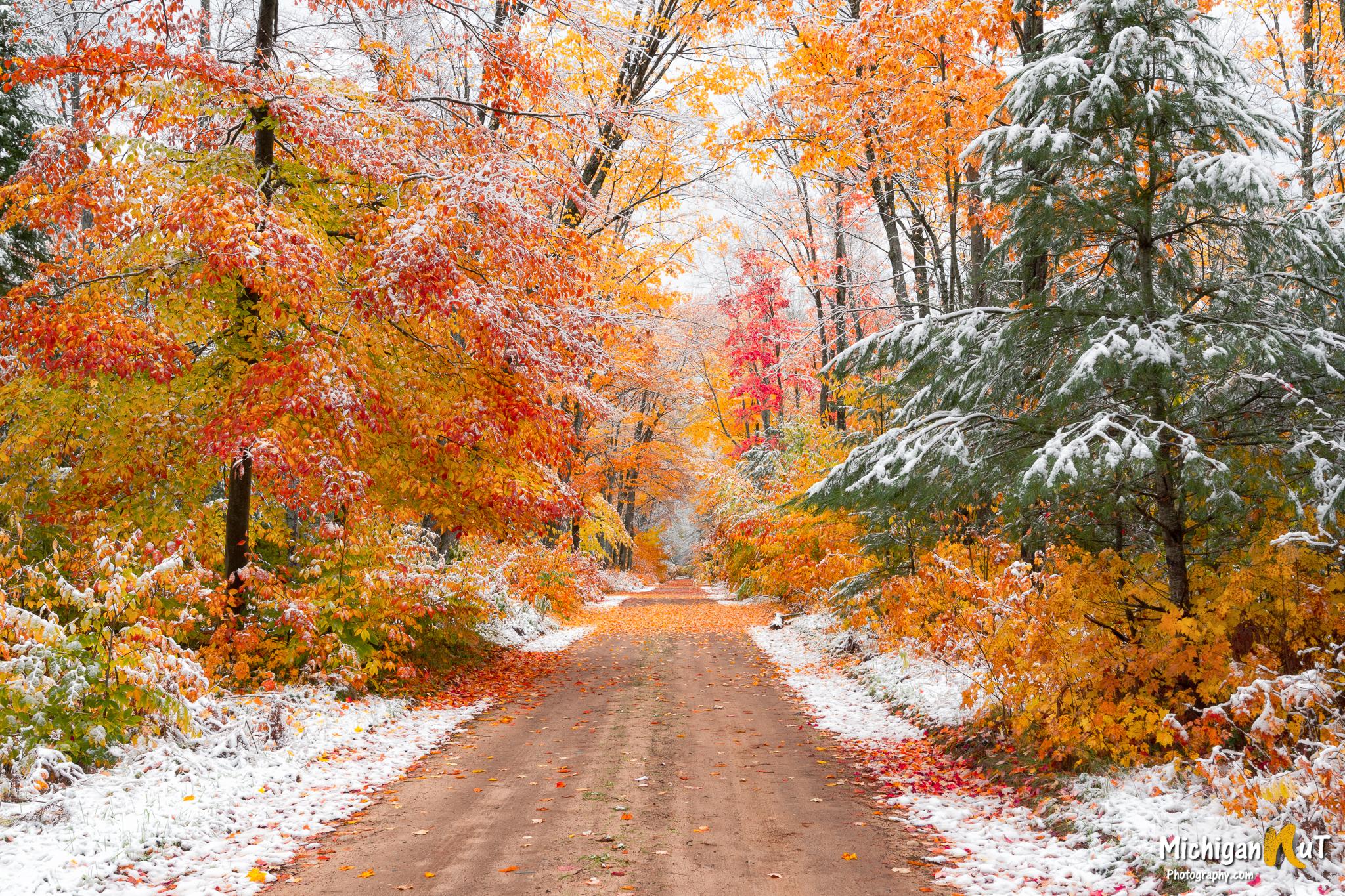 Early autumn snow in Michigan's Hiawatha National Forest. [OC} [2048 x