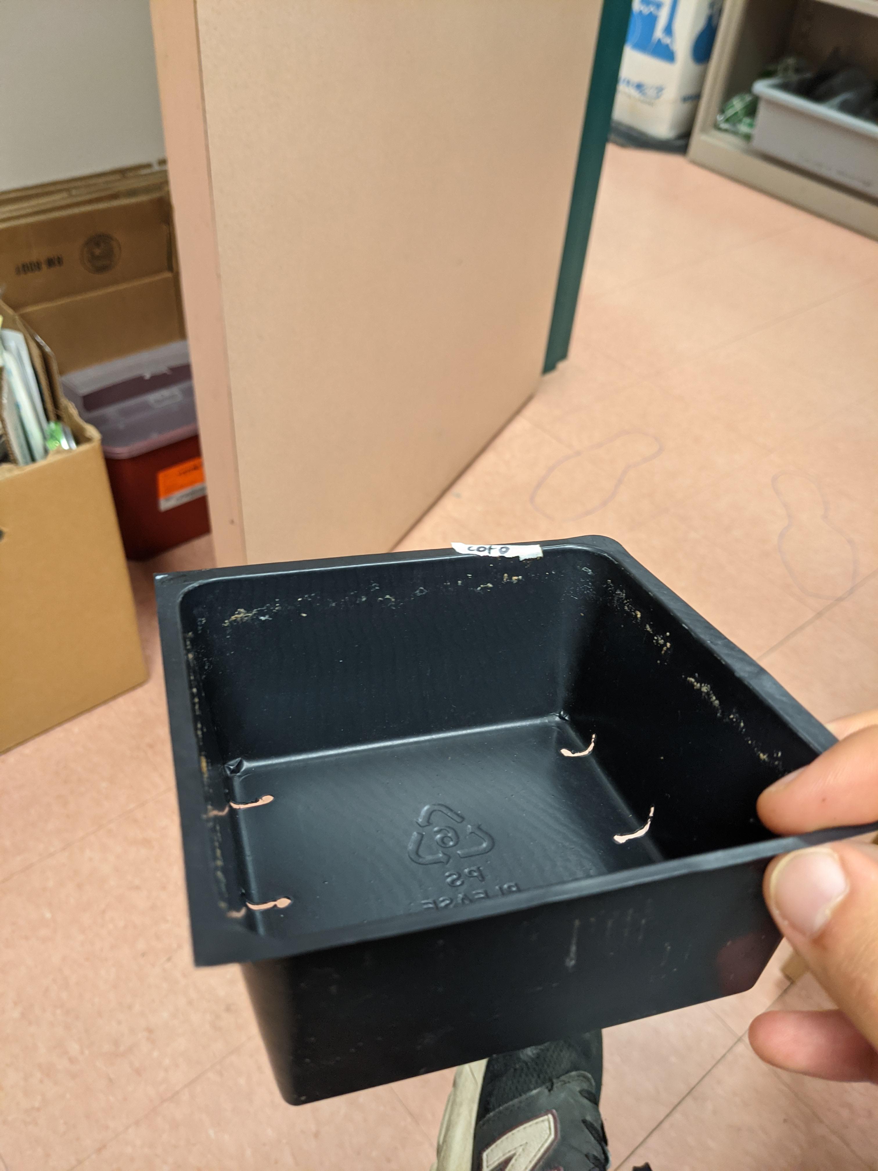 Does anyone know where to find these 2 inch tall nursery pots? We used