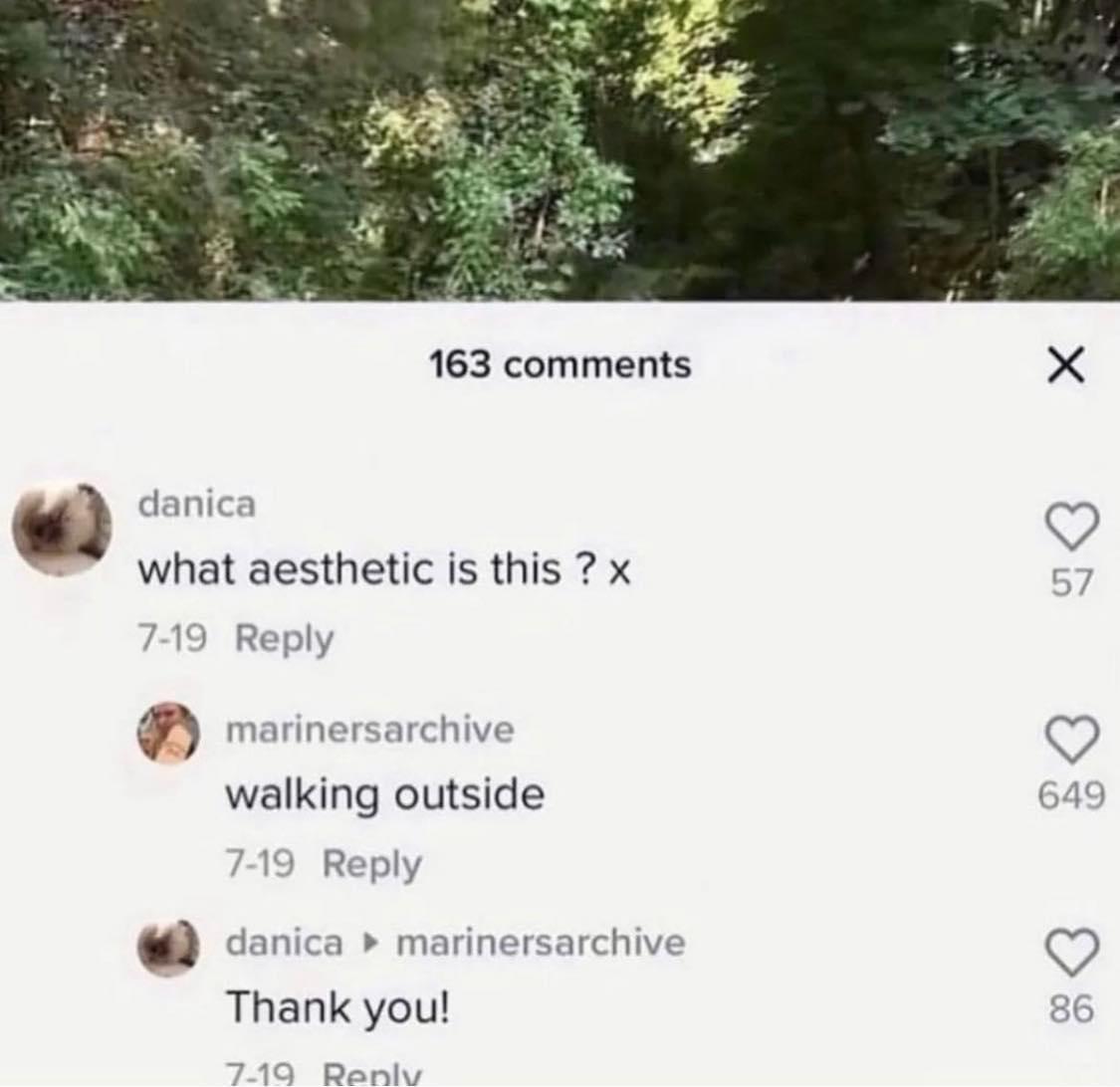 Aesthetic rule r/196