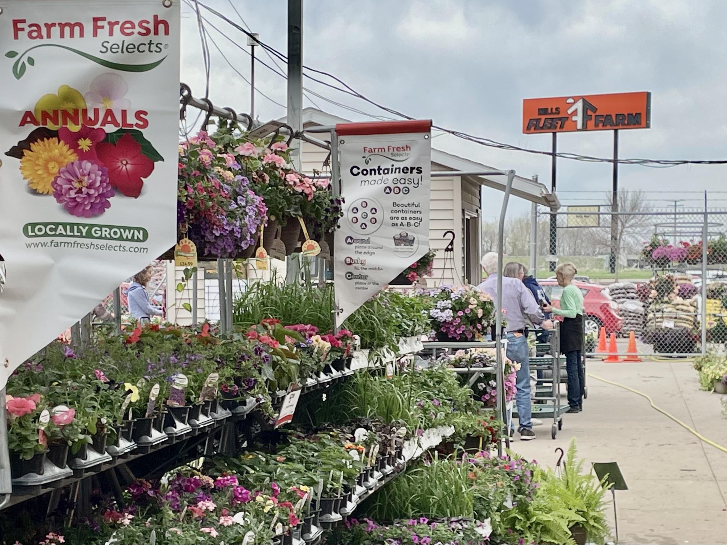 Fleet Farm Garden Center at Therese Arnold blog
