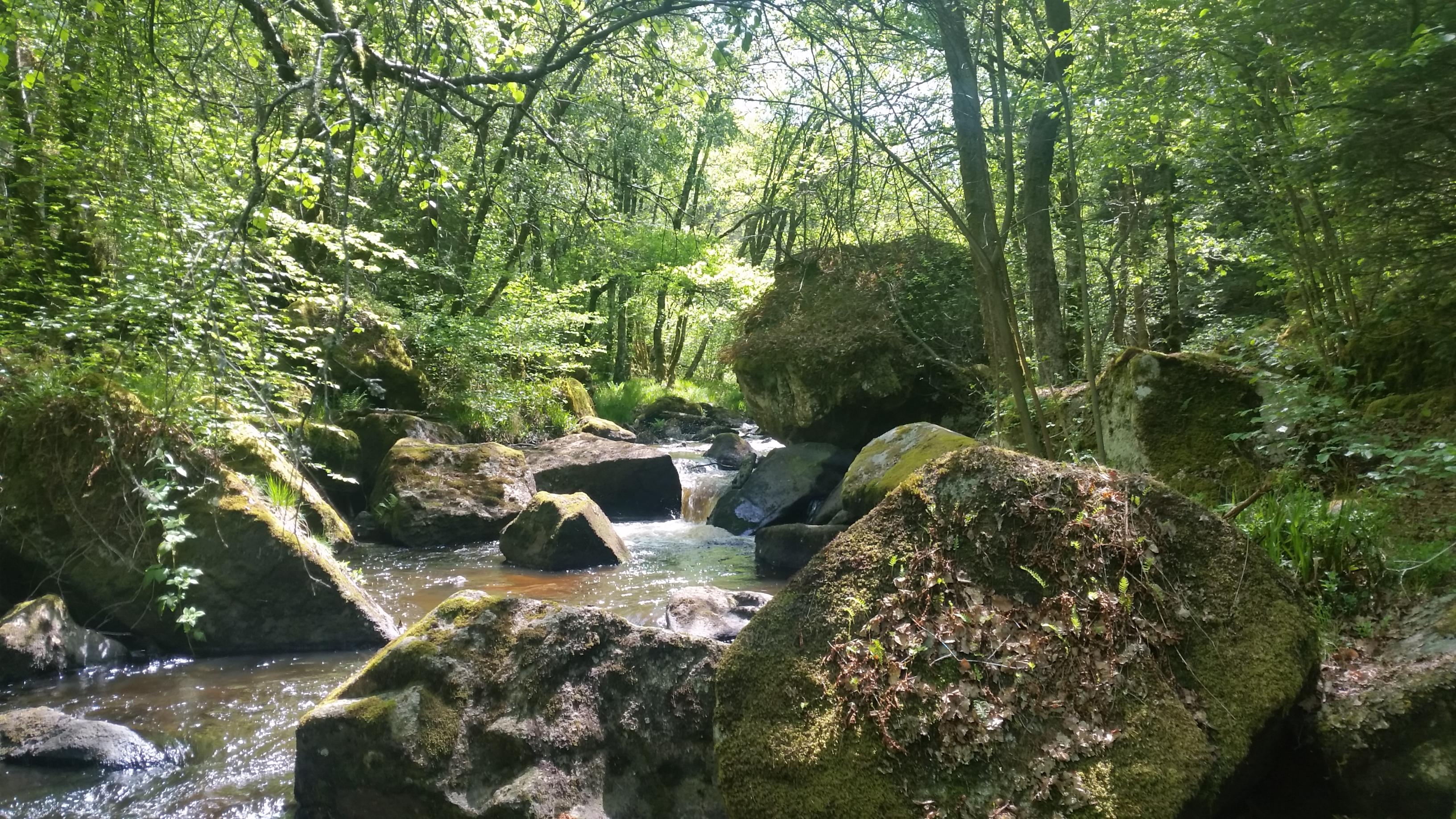 Rigole du Diable Creuse (vers le milieu de la France la où ya pas