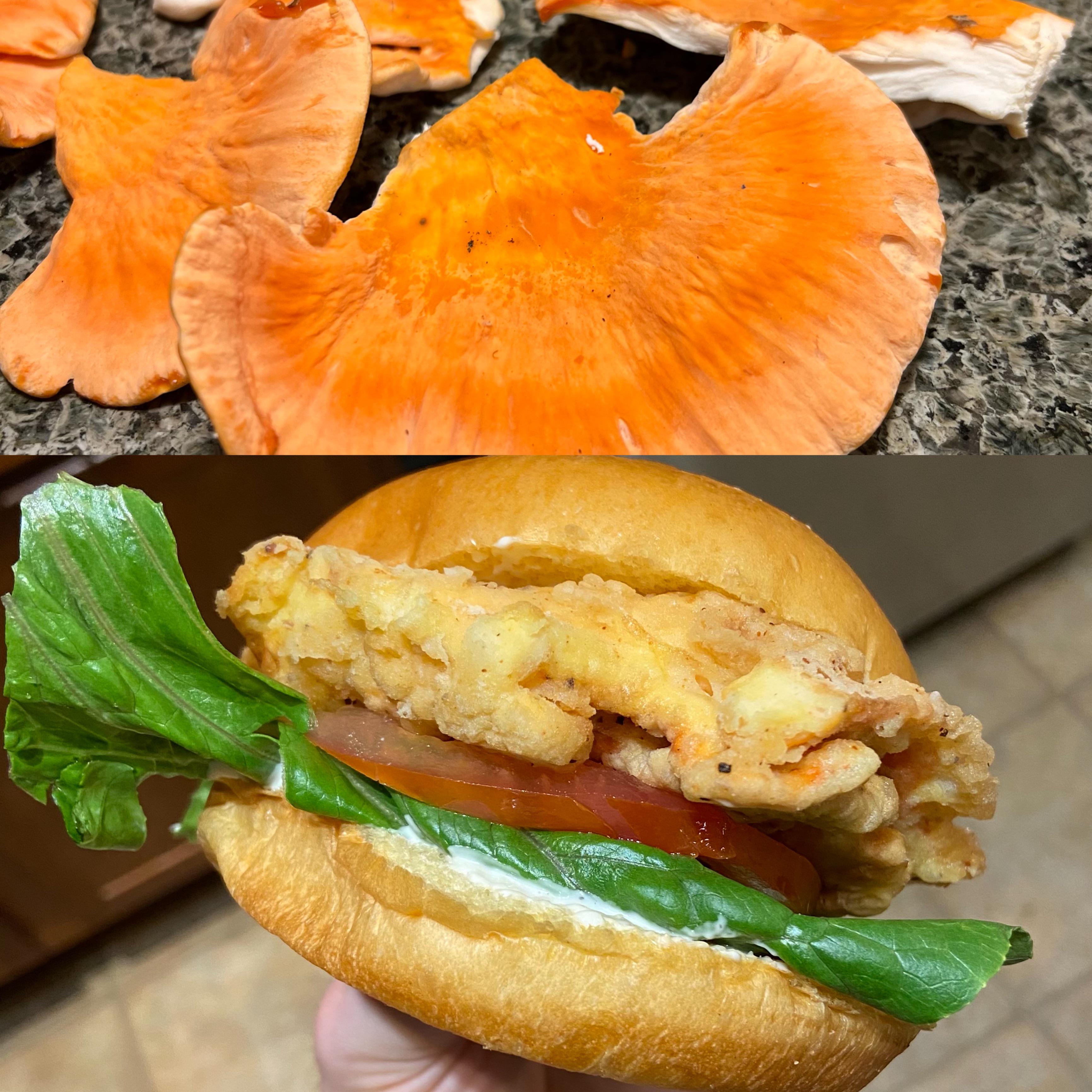 Made fried chicken of the woods sandwich with foraged chicken of the