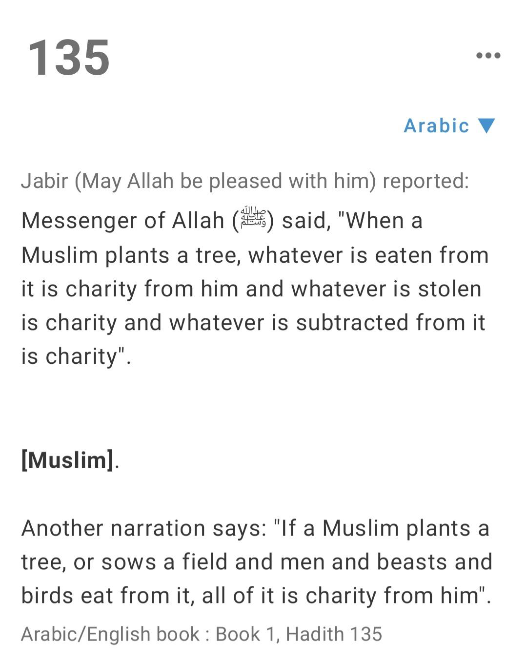 Hadith on planting trees! r/islam