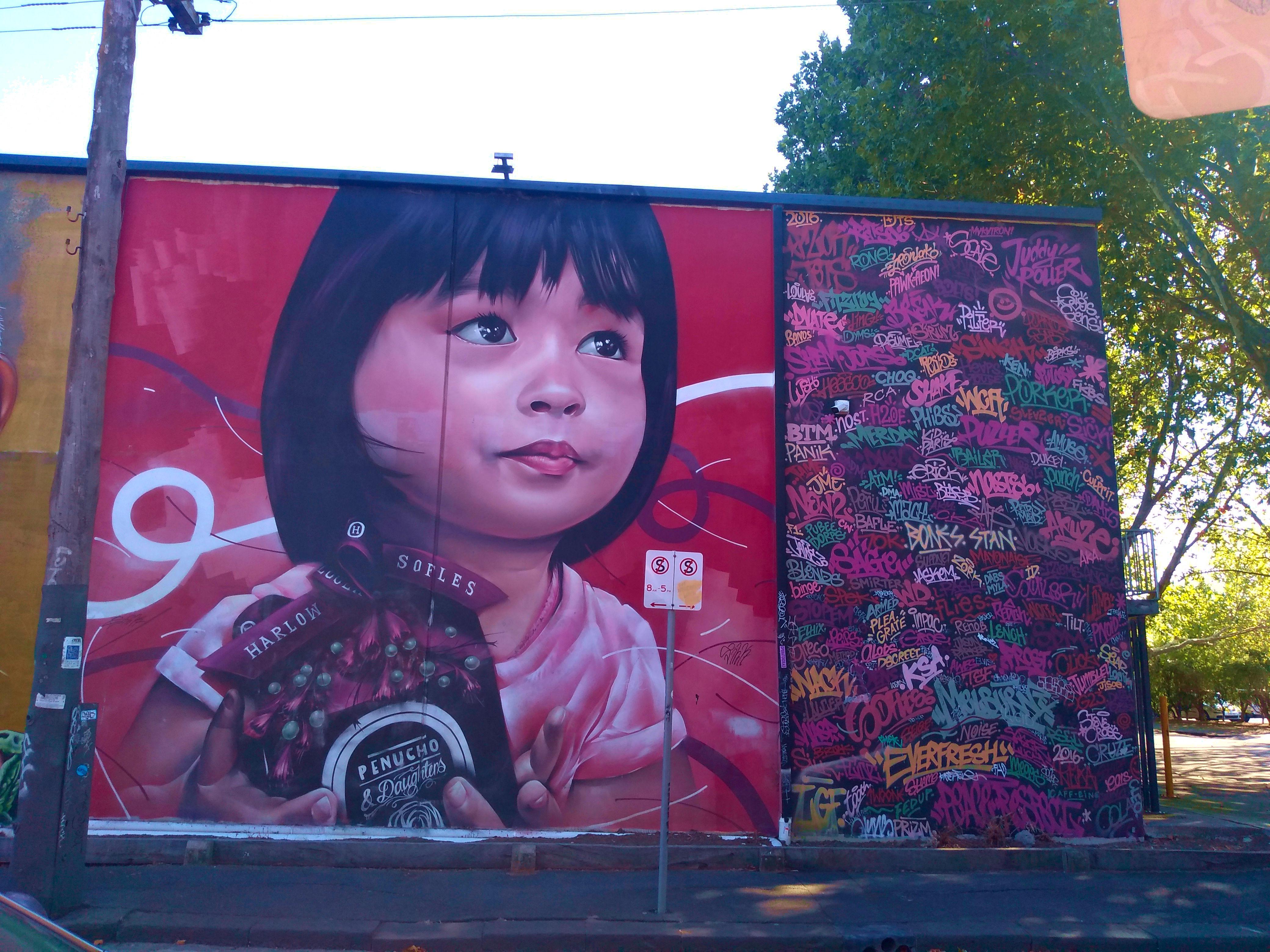 Beautiful street art in Fitzroy. r/melbourne