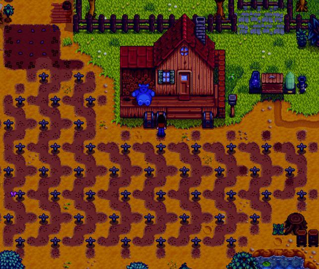 Summer 1! Should get many more harvests of these blueberries! r