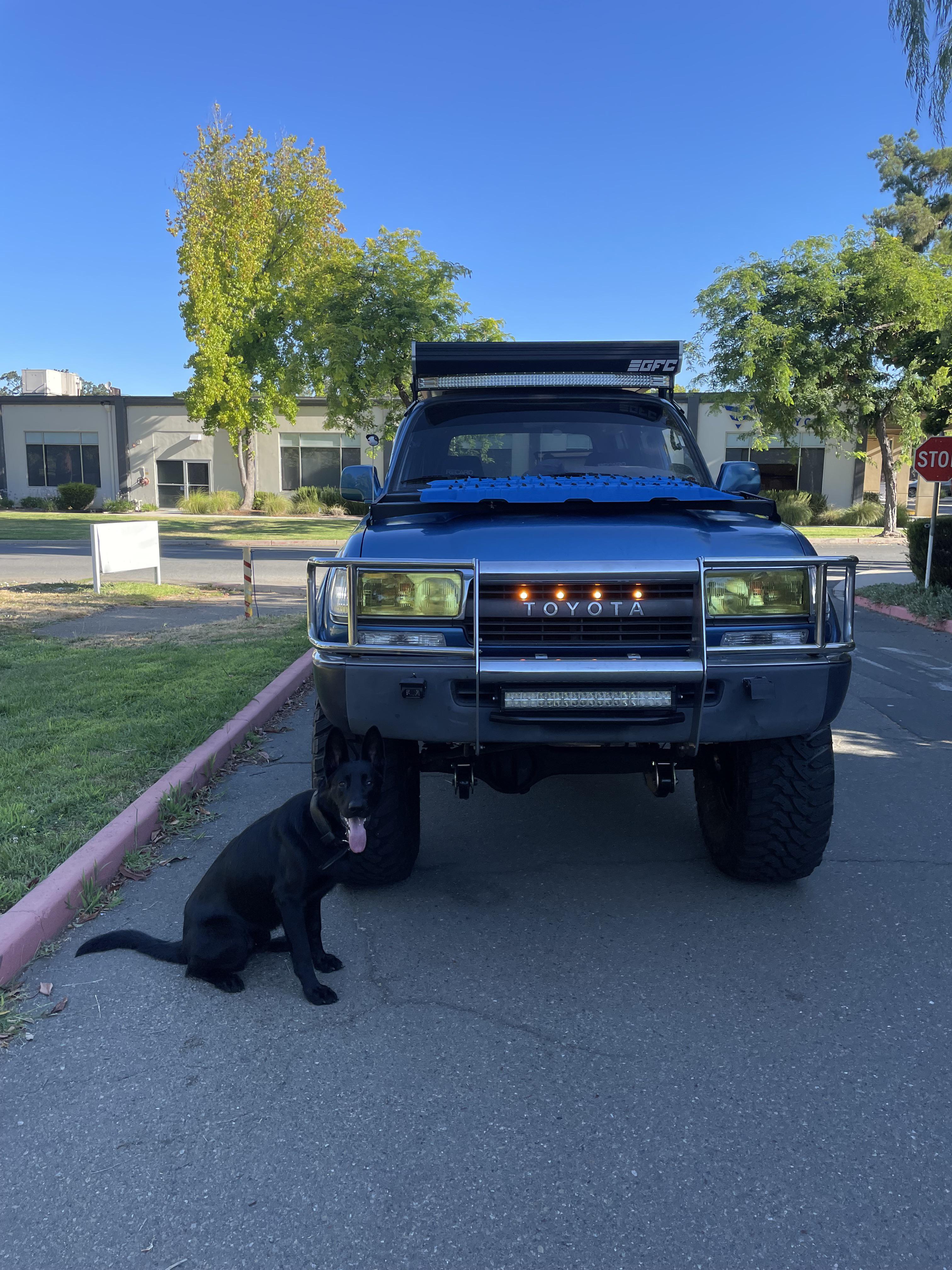 Land Shark and Land Cruiser r/LandCruisers