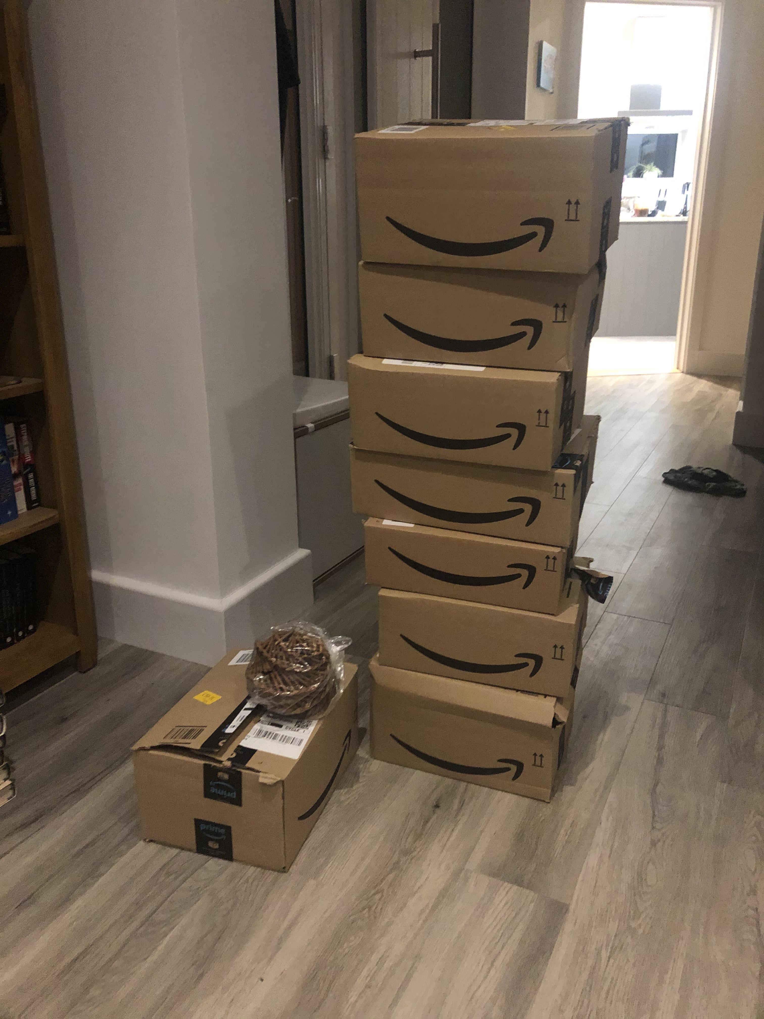 My Amazon order arrived. 8 large boxes, each with a single small rabbit
