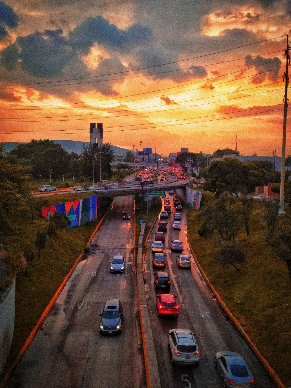 425 best Jalisco images on Pholder Mexico, Narco Footage and Whatsthisbug